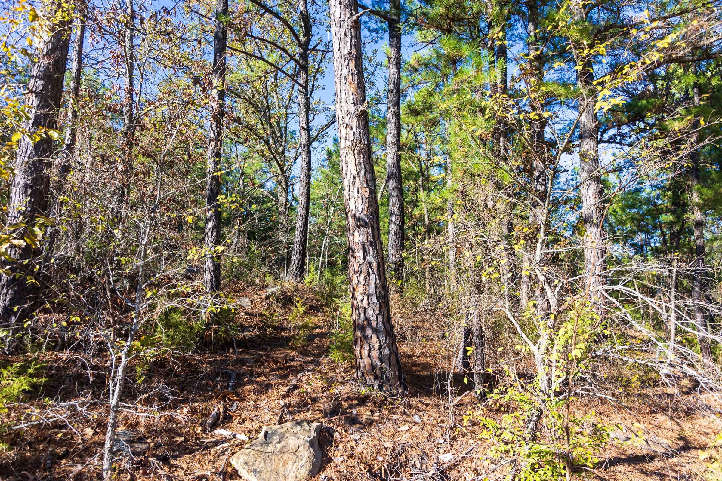 Stone Bridge Reserve Tract 25 photo 15