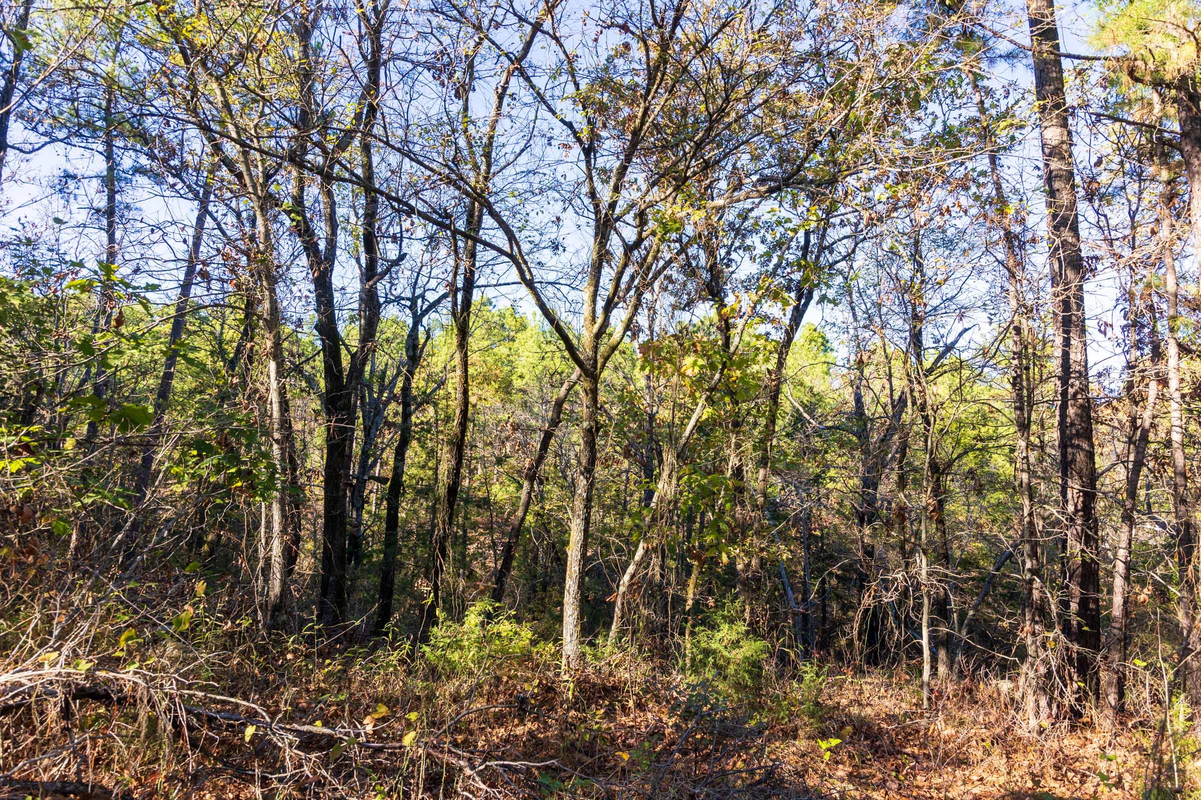 Stone Bridge Reserve Tract 25 photo 12