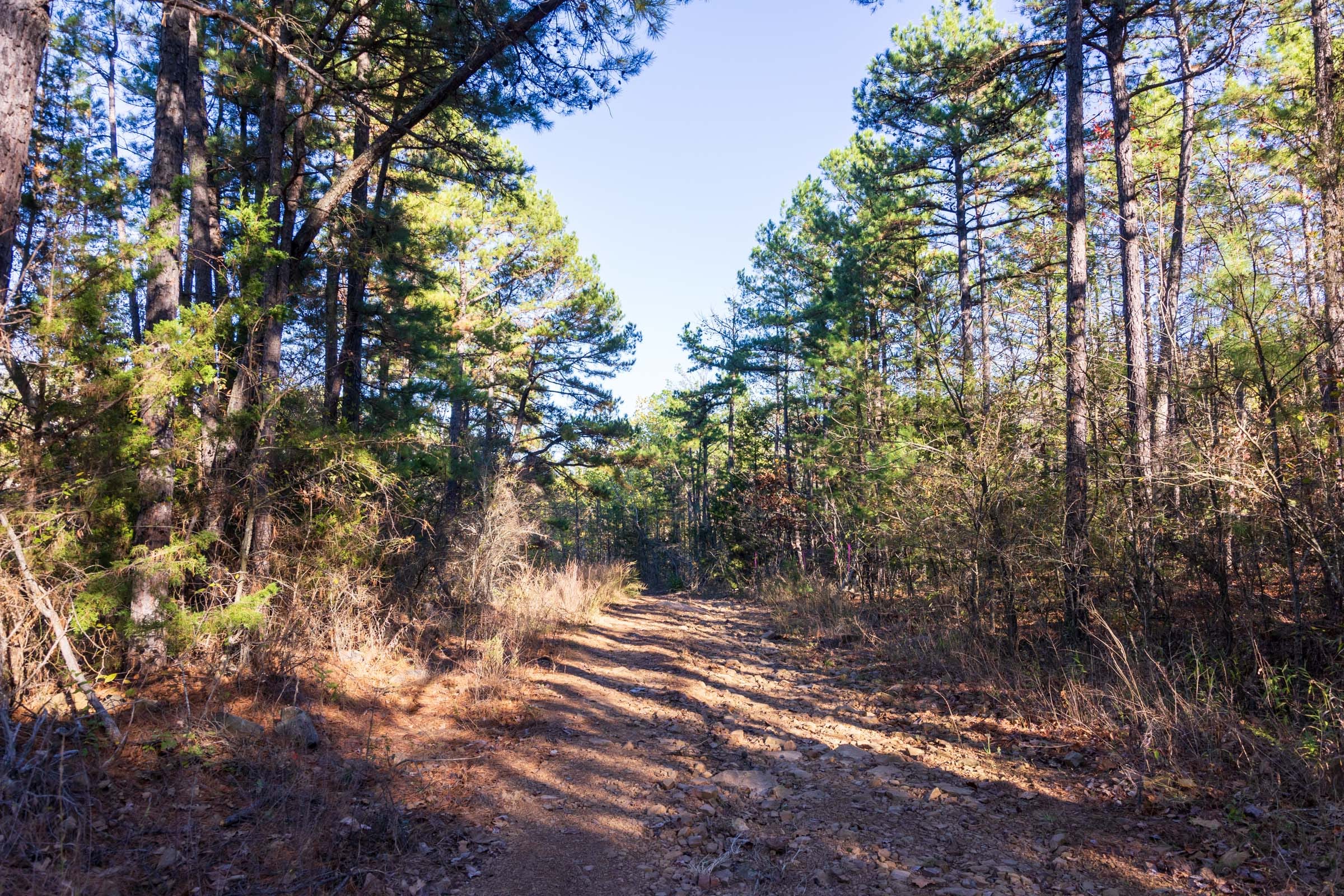 Stone Bridge Reserve Tract 25 photo 11