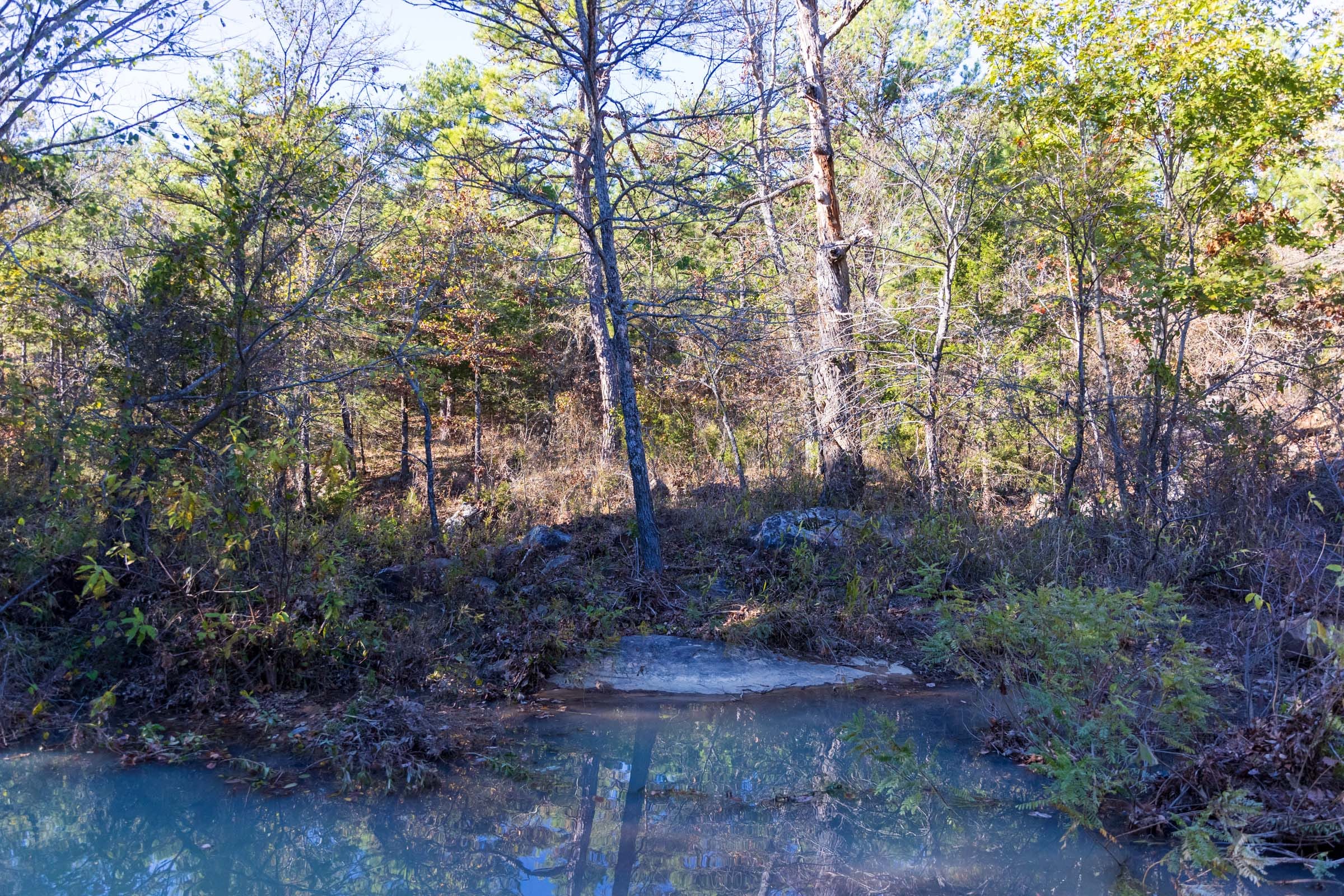 Stone Bridge Reserve Tract 25 photo 6