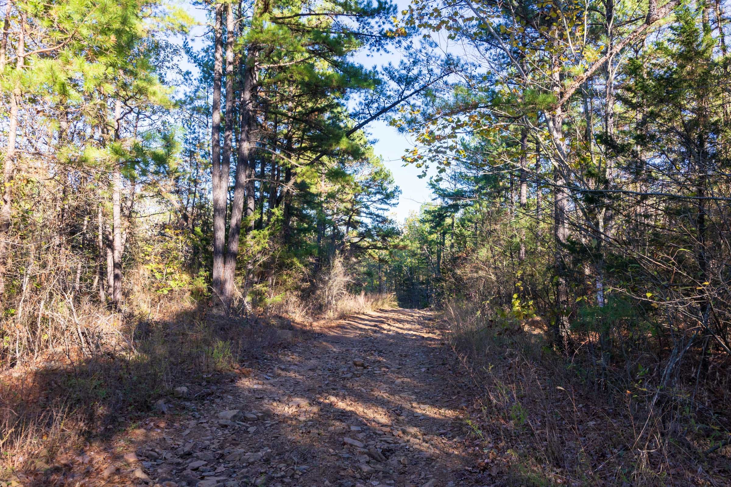 Stone Bridge Reserve Tract 25 photo 5