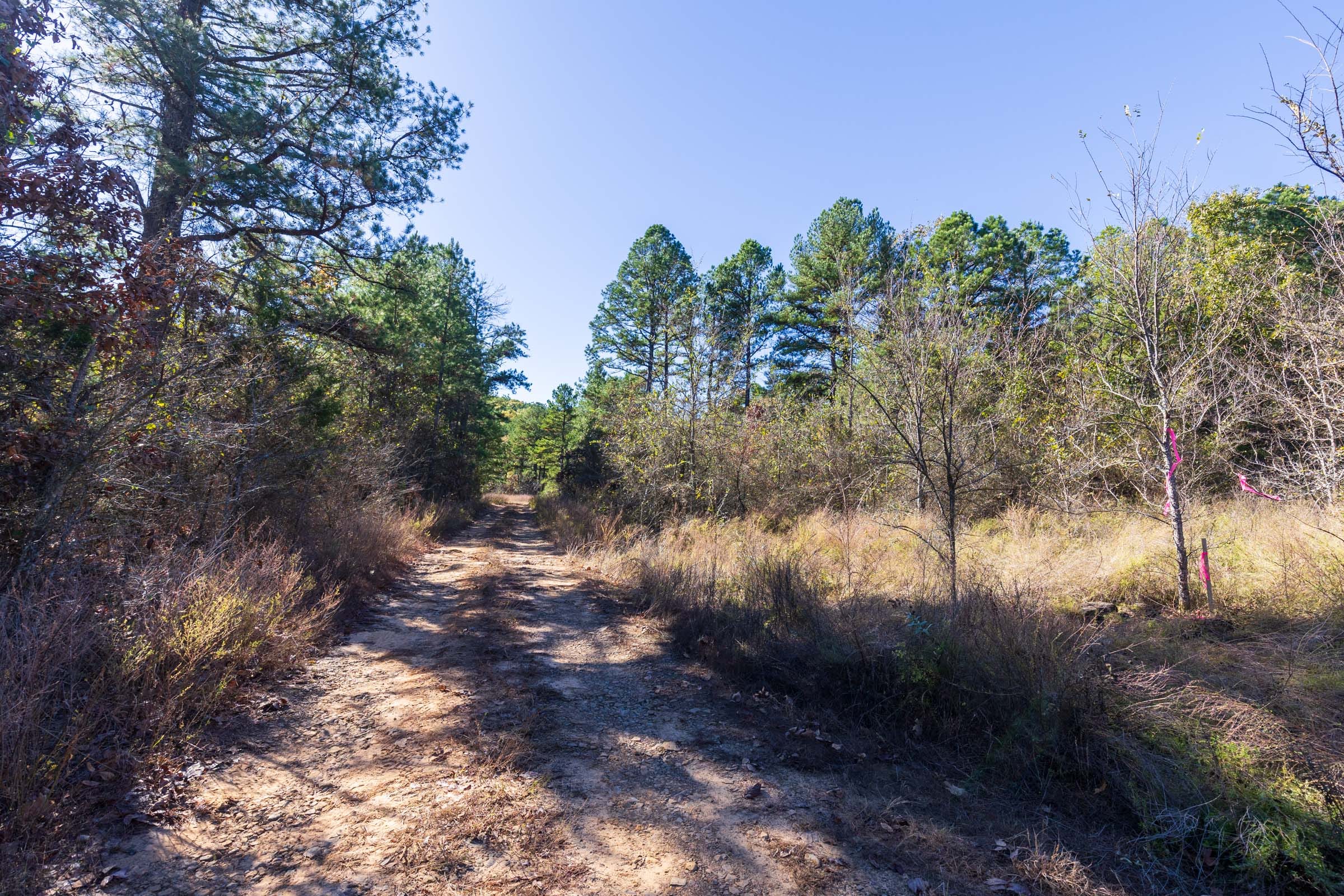 Stone Bridge Reserve Tract 25 photo 3