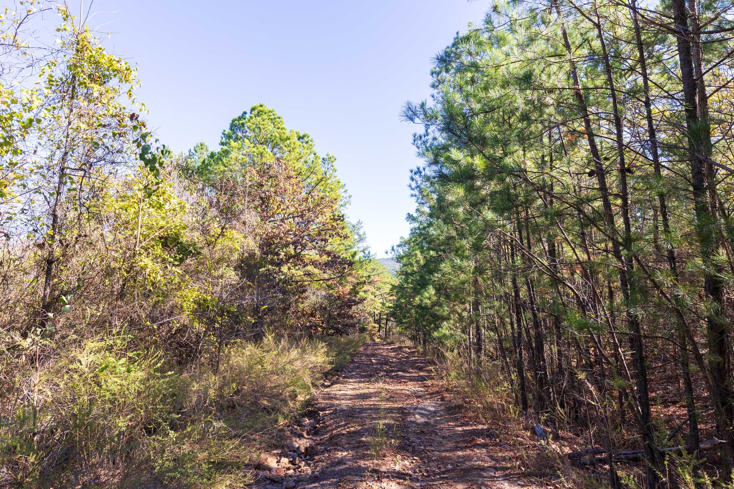 Stone Bridge Reserve Tract 25 photo 1