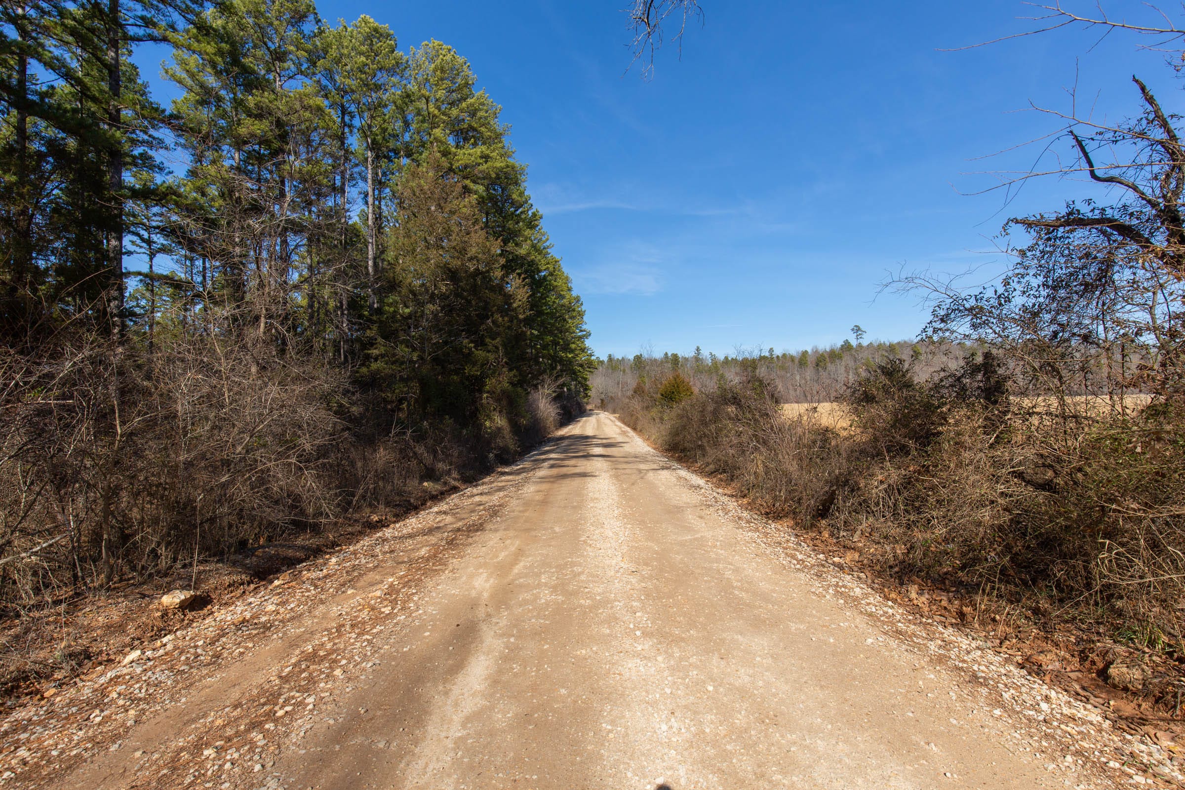 O’Connor Crossing Tract 35 photo 5