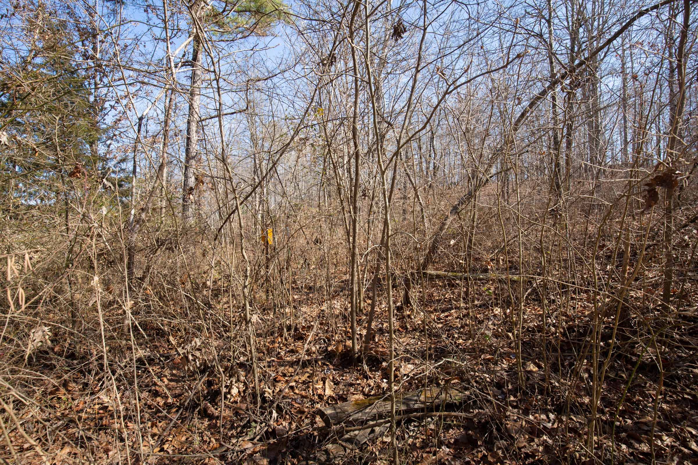 O’Connor Crossing Tract 35 photo 4