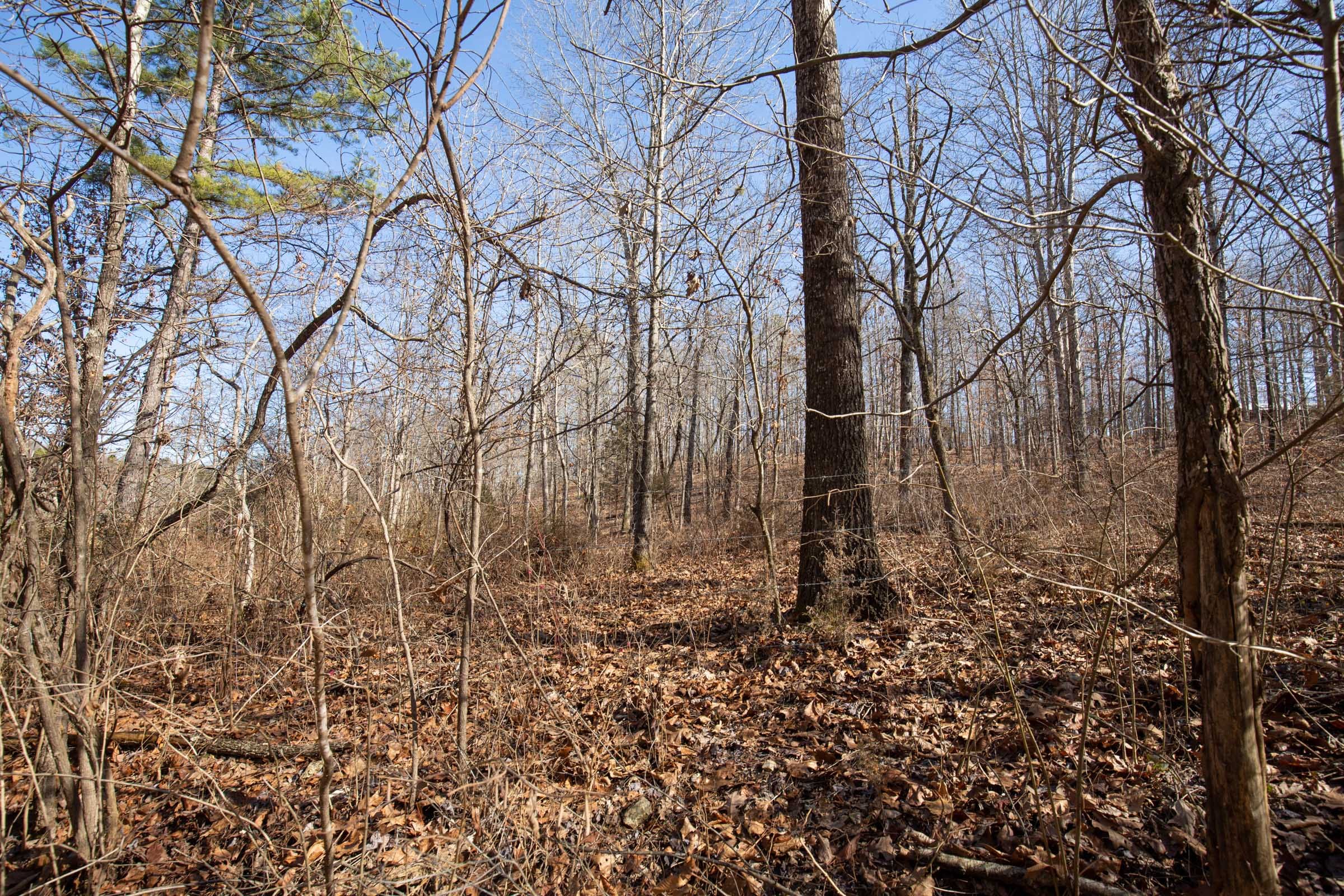 O’Connor Crossing Tract 35 photo 6