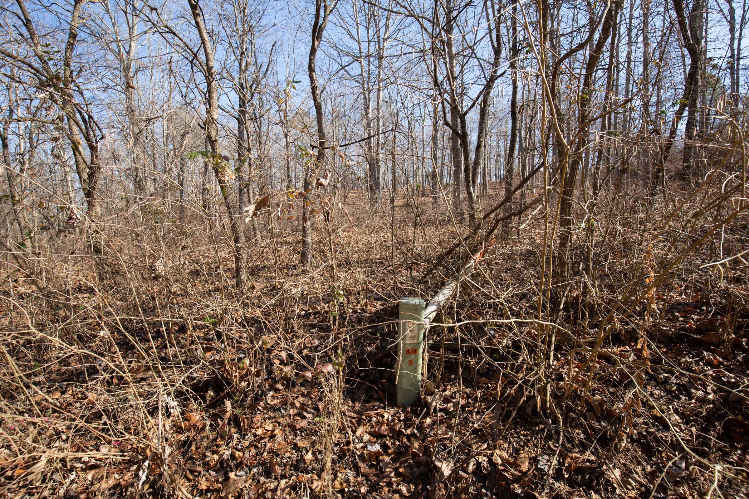O’Connor Crossing Tract 35 photo 8