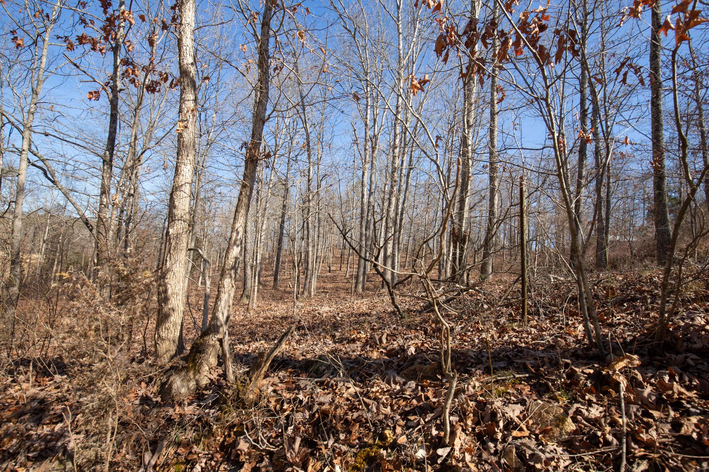 O’Connor Crossing Tract 35 photo 7