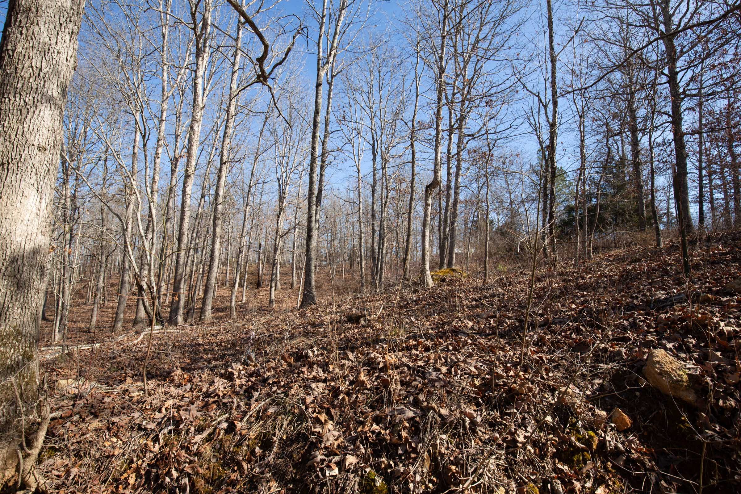 O’Connor Crossing Tract 35 photo 11