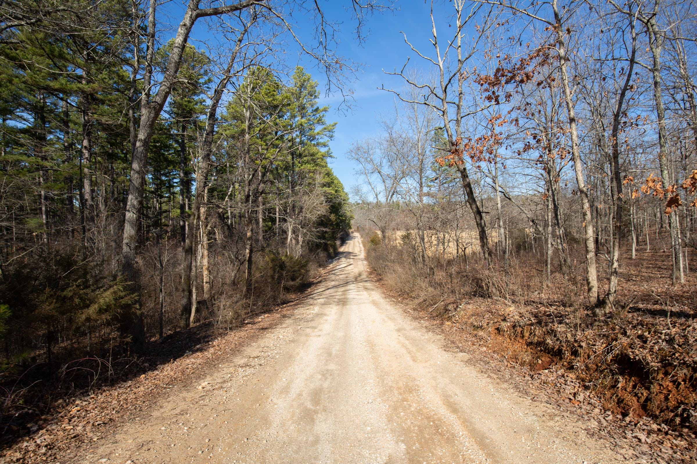 O’Connor Crossing Tract 35 photo 9