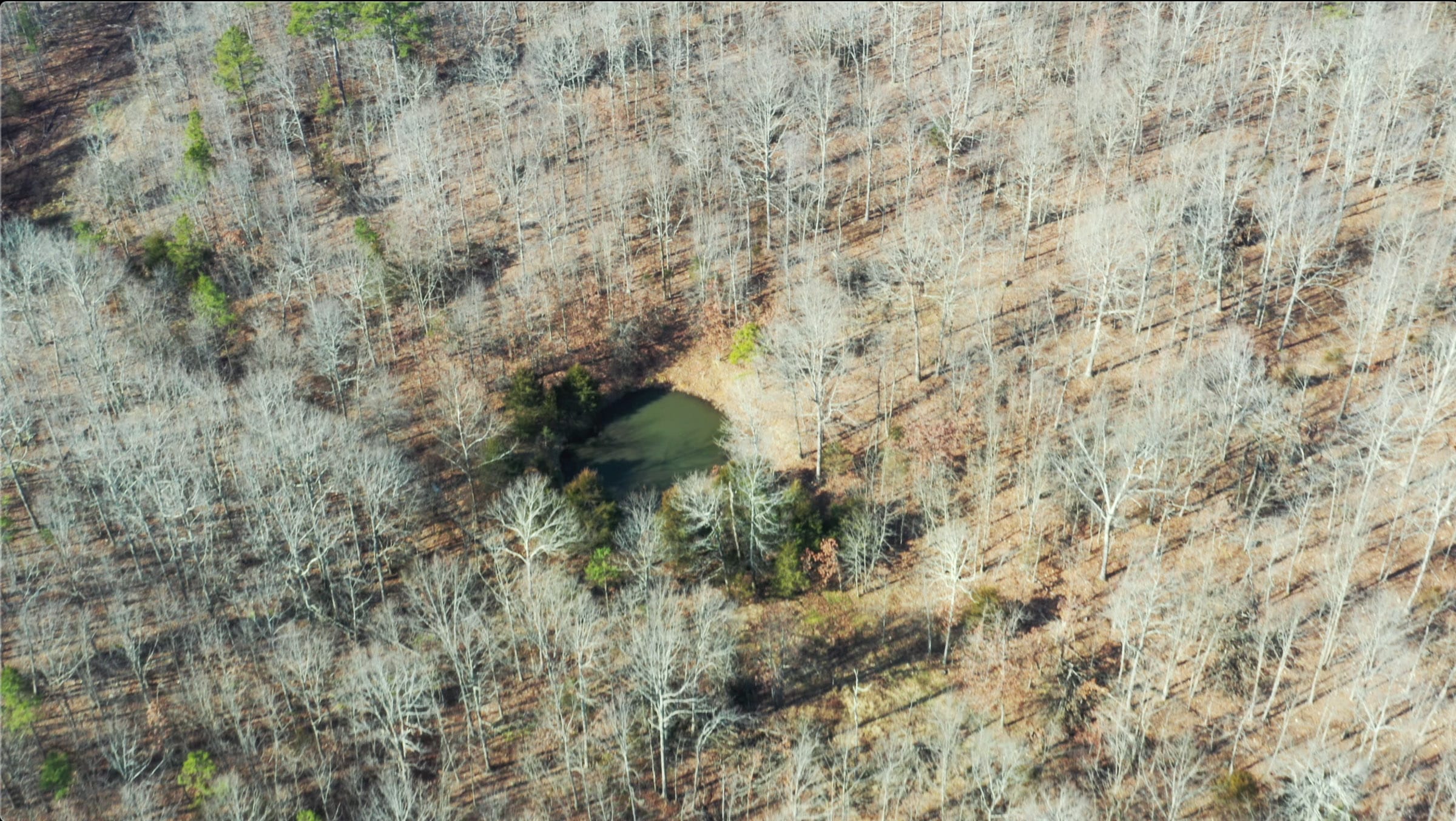 O’Connor Crossing Tract 35 photo 2