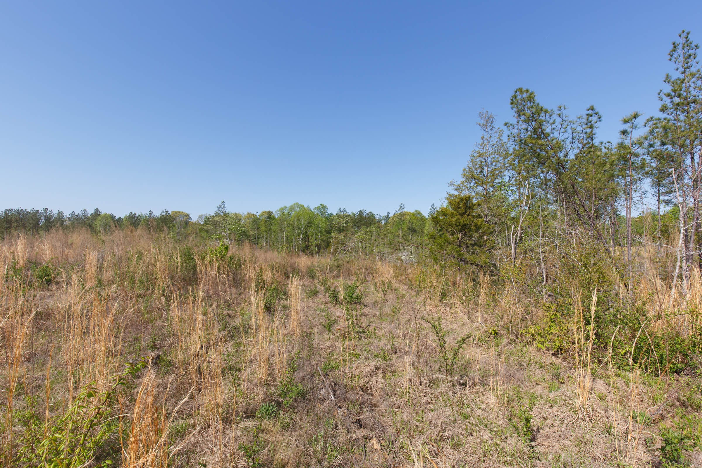 Twin Rivers Tract 3 photo 4