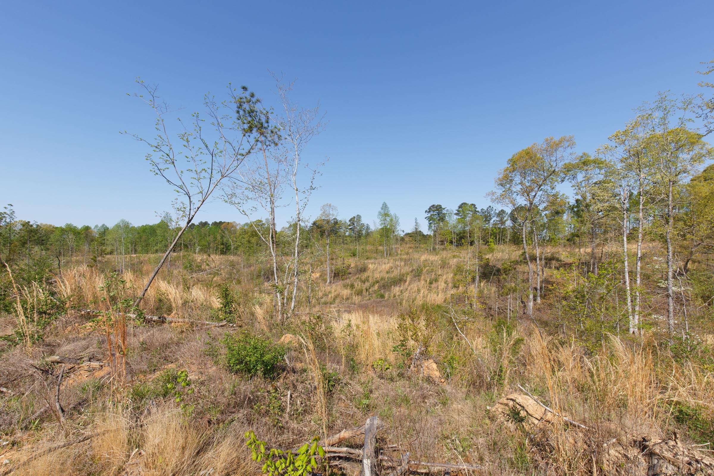 Twin Rivers Tract 3 photo 6