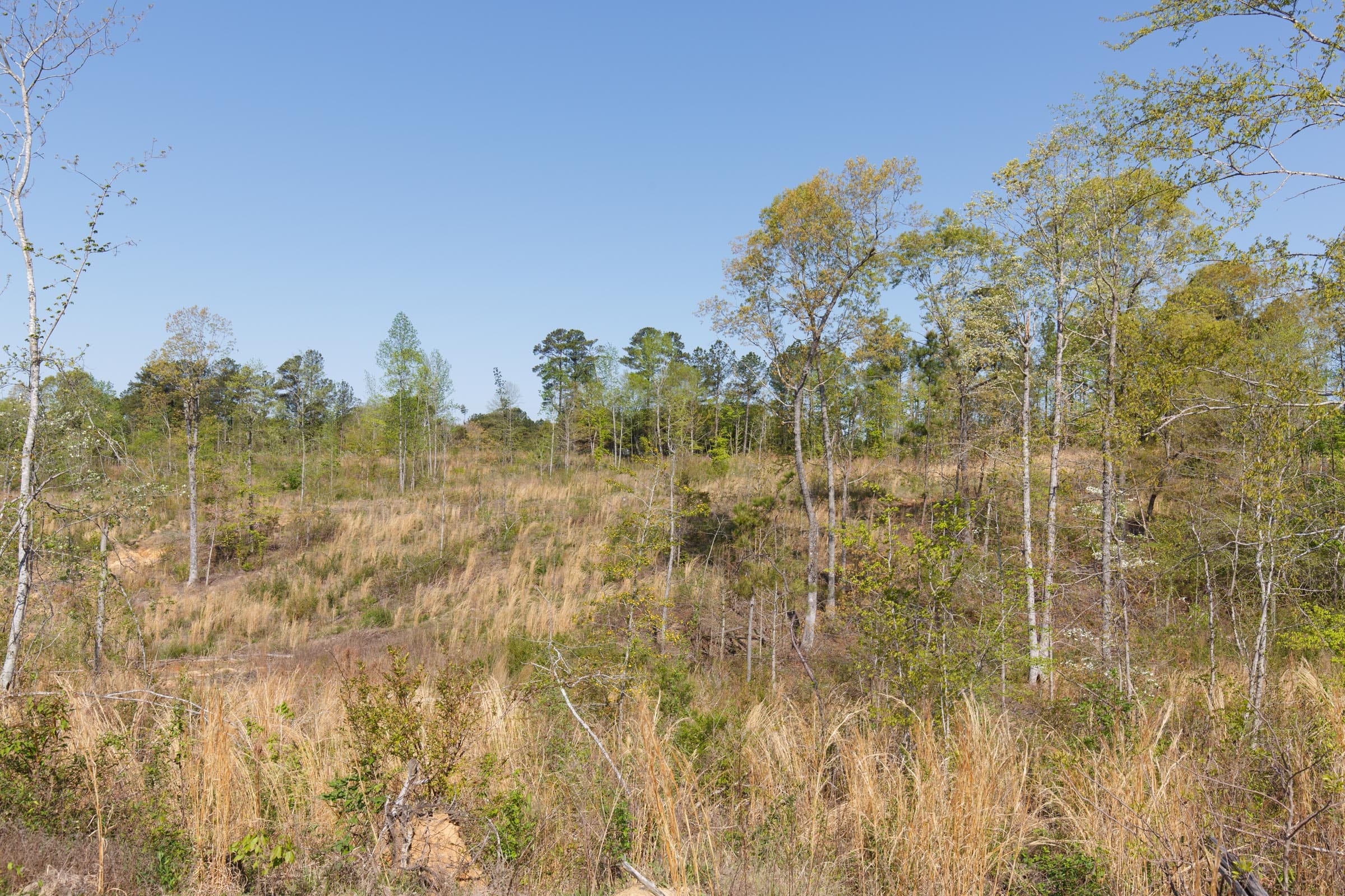 Twin Rivers Tract 3 photo 9