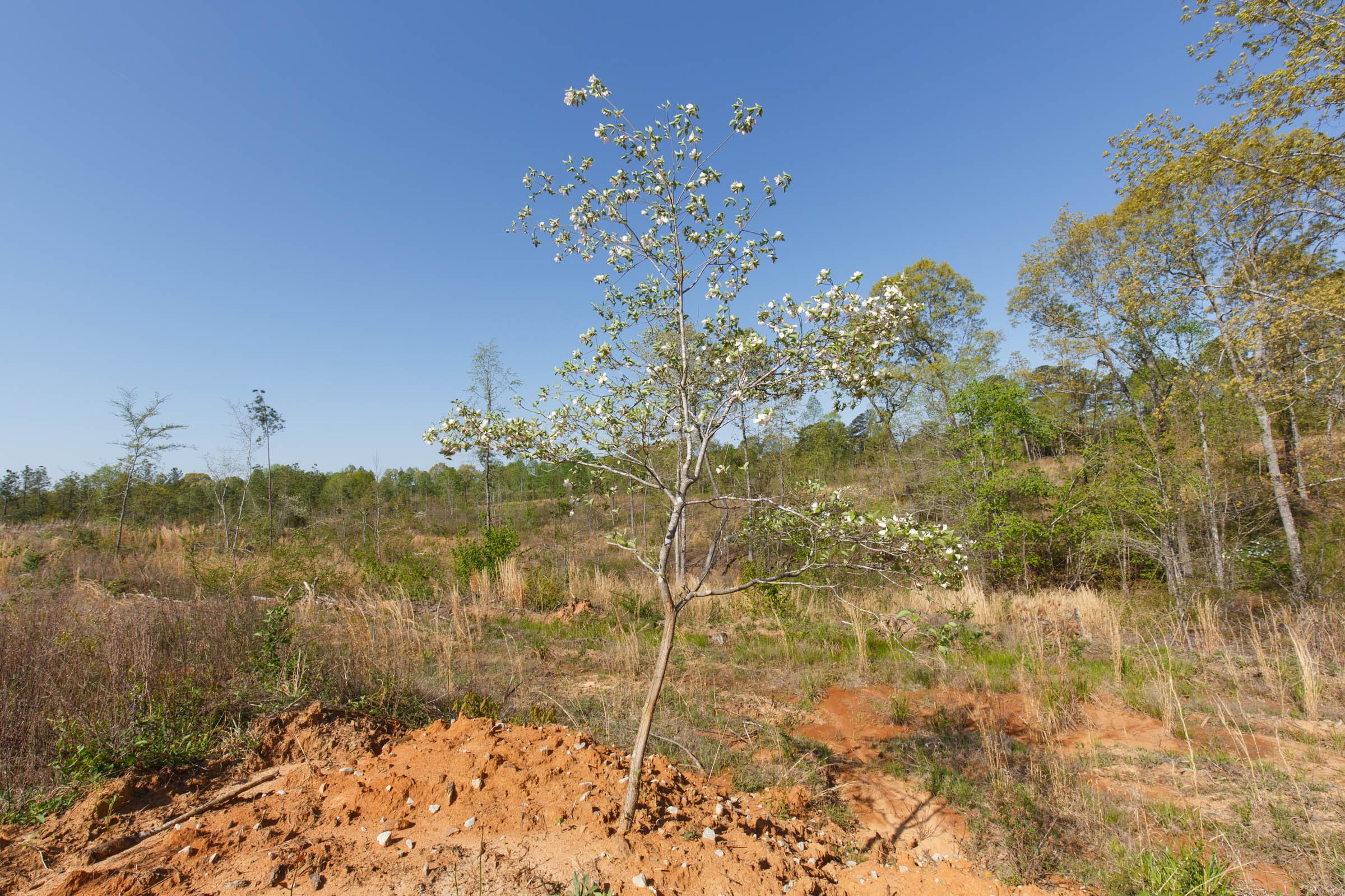 Twin Rivers Tract 3 photo 10