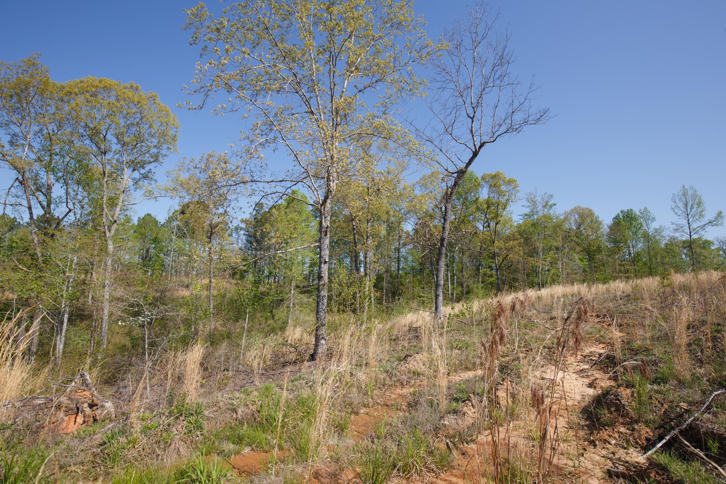 Twin Rivers Tract 3 photo 12