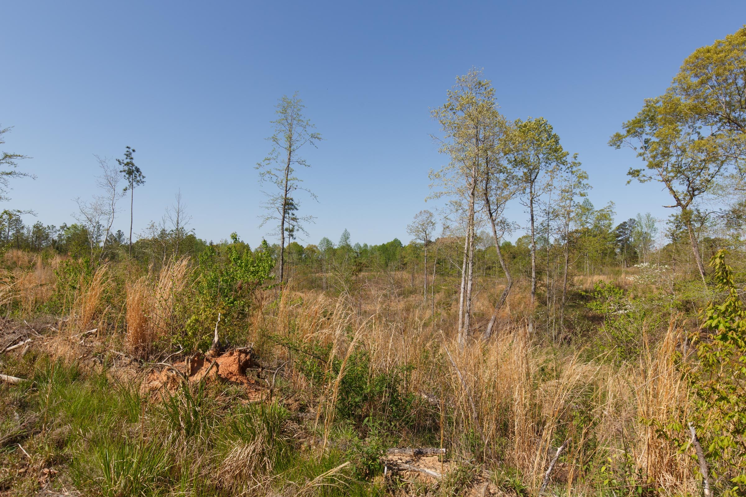 Twin Rivers Tract 3 photo 13