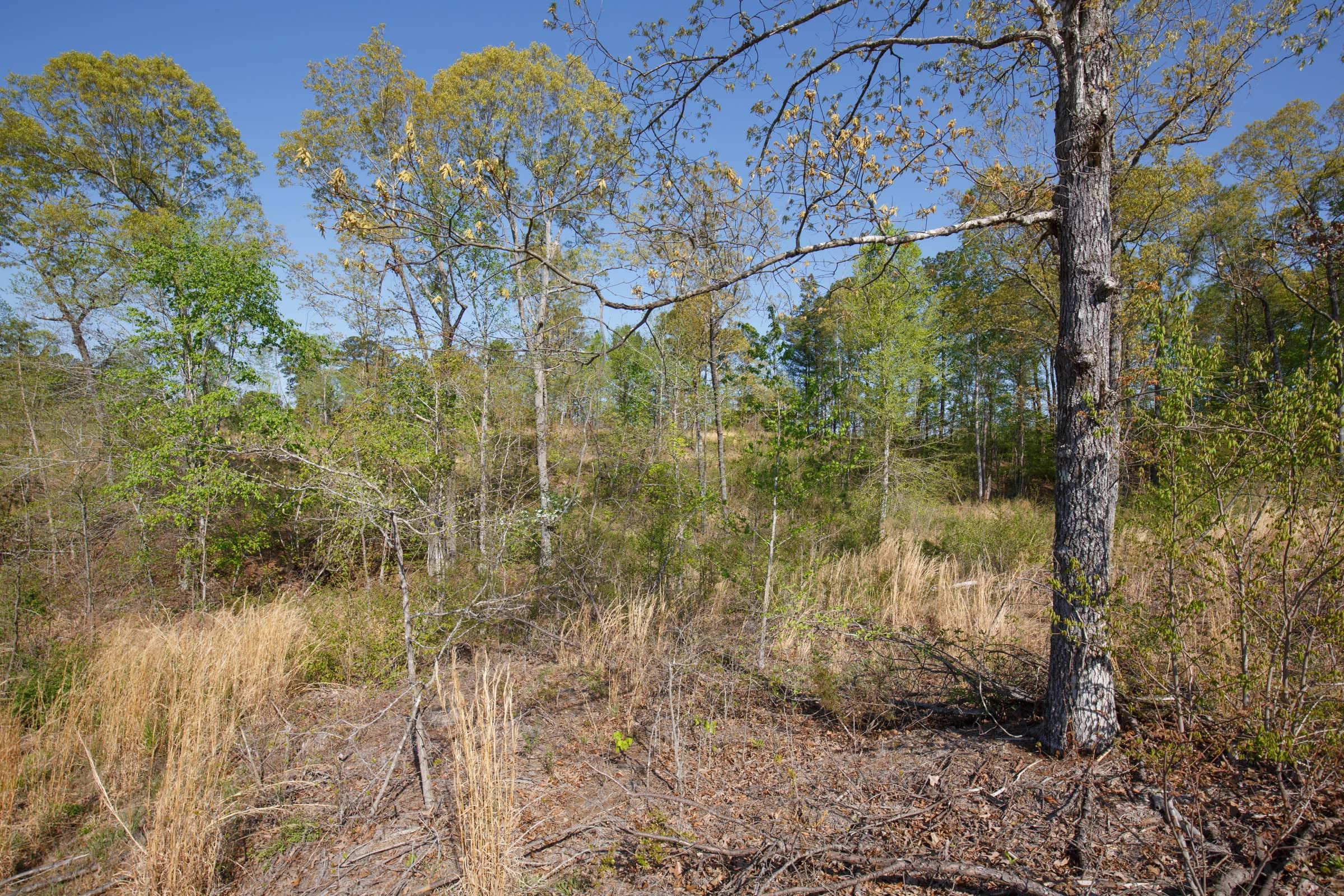 Twin Rivers Tract 3 photo 14