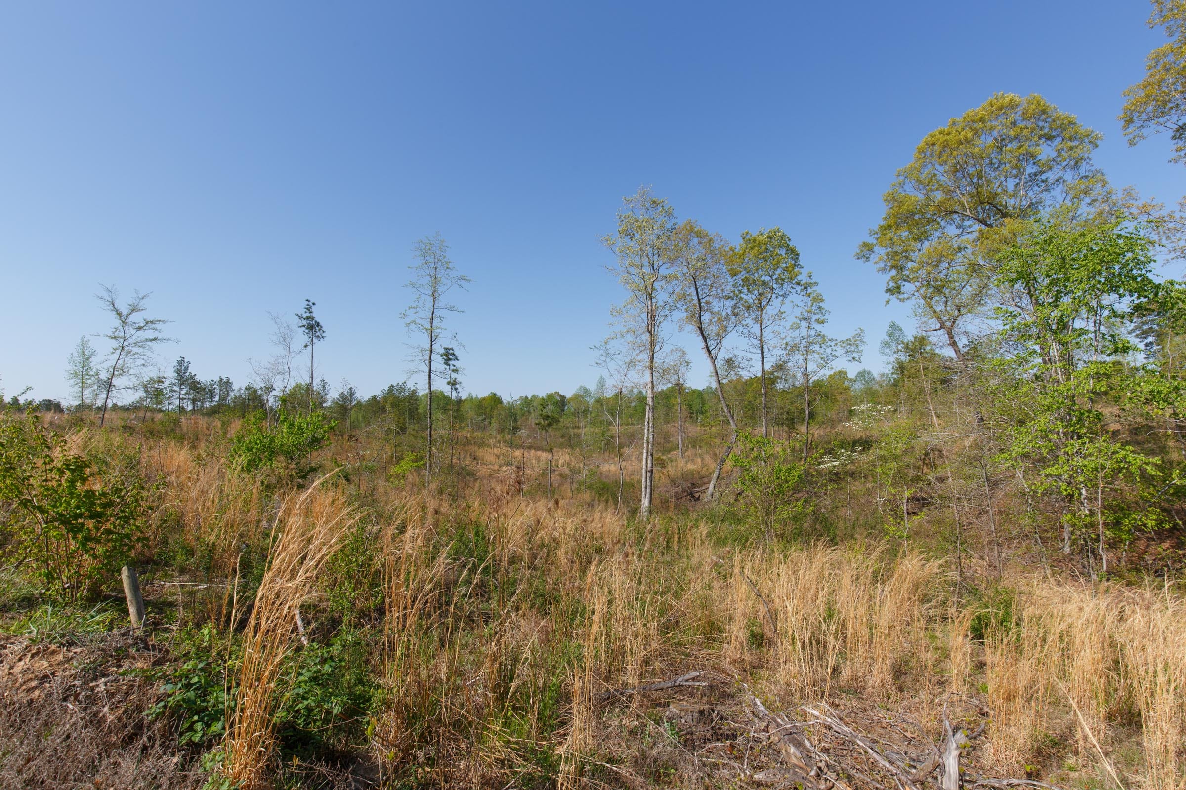 Twin Rivers Tract 3 photo 15