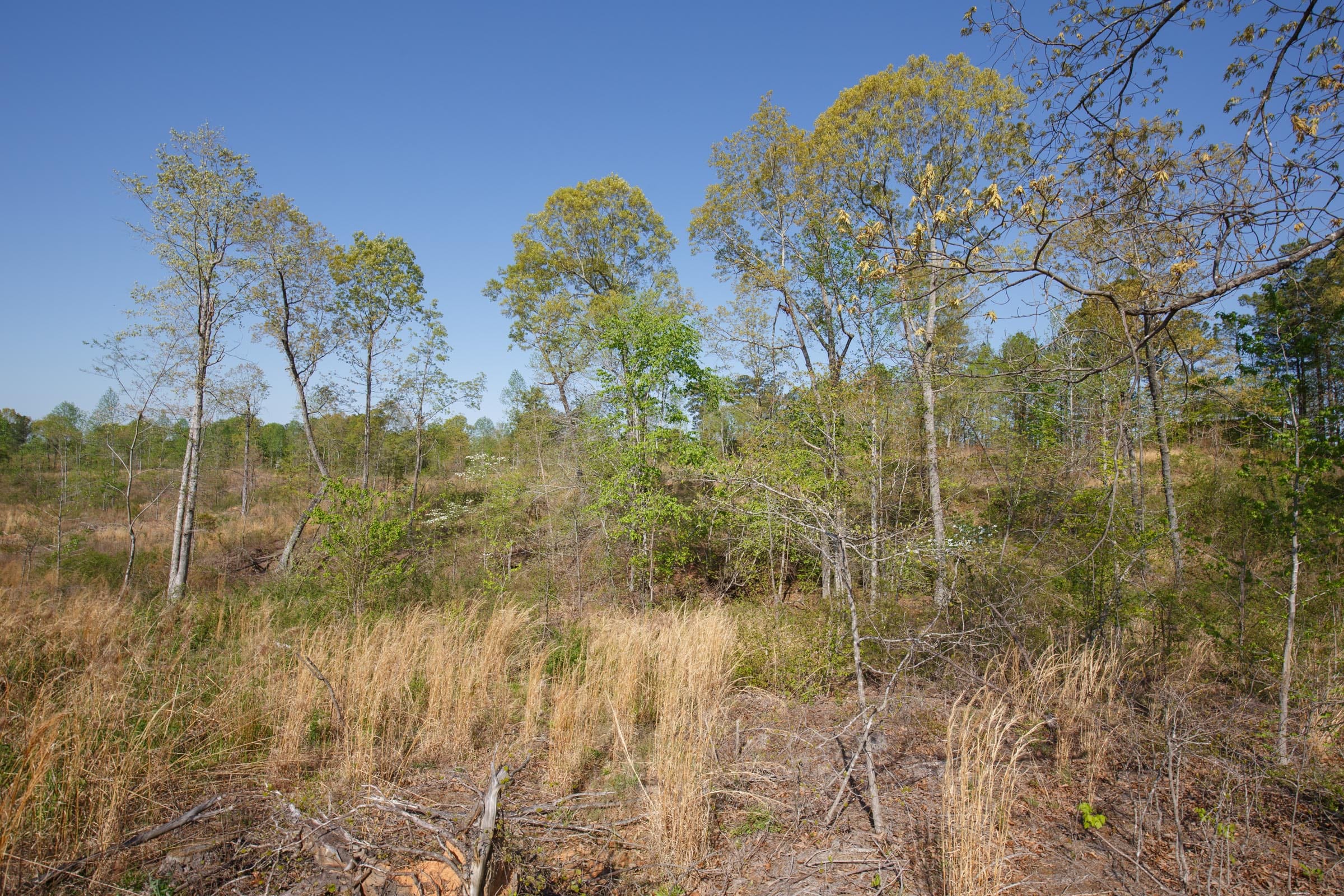 Twin Rivers Tract 3 photo 17