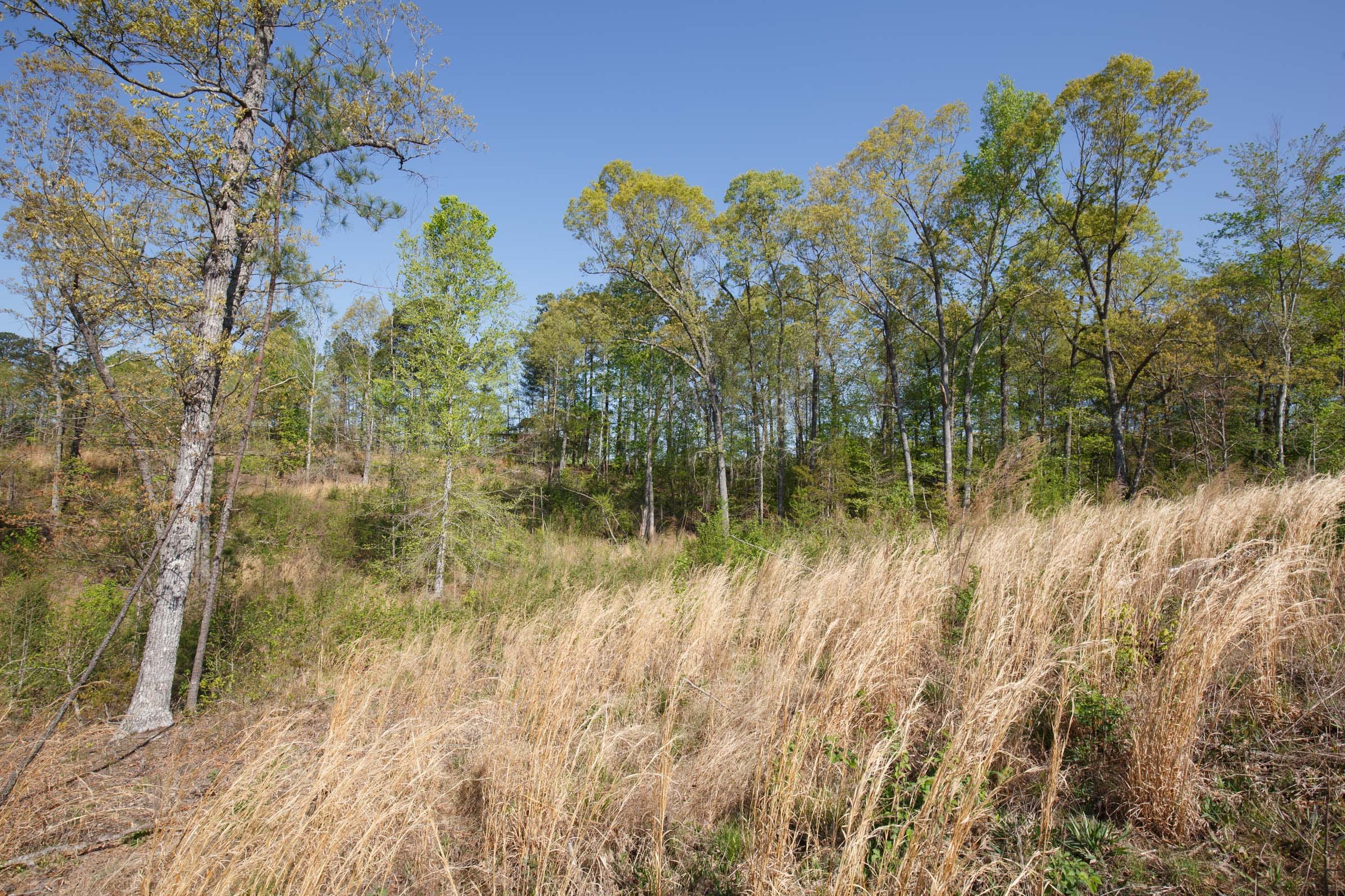 Twin Rivers Tract 3 photo 19