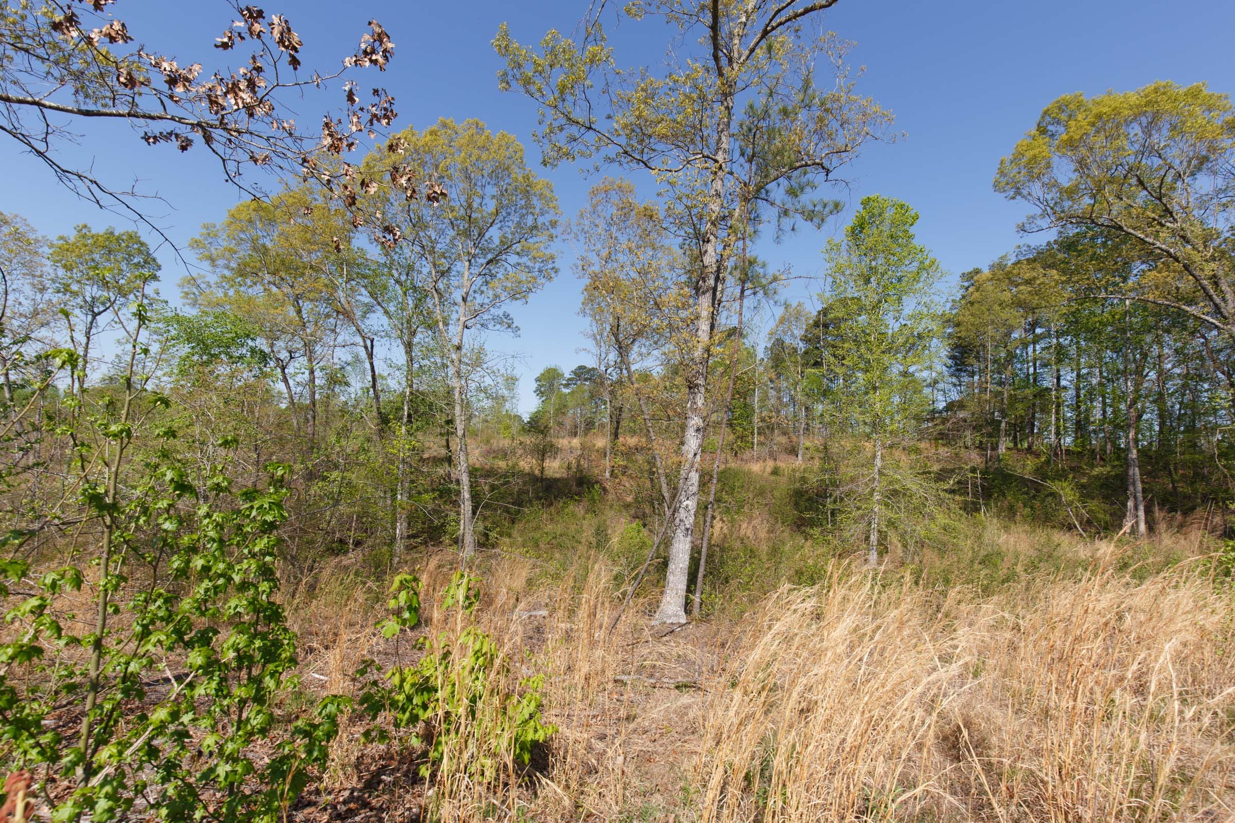 Twin Rivers Tract 3 photo 21