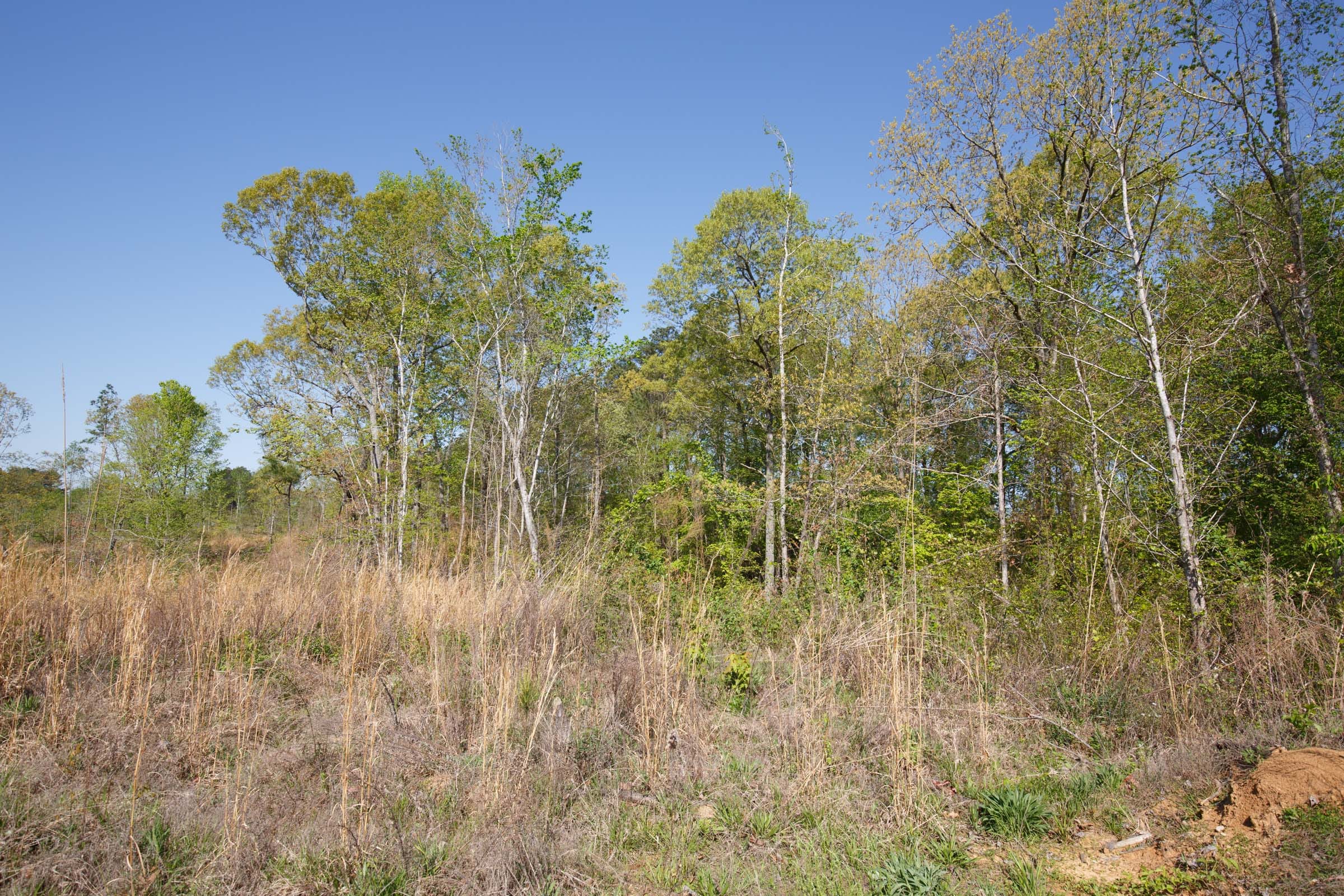 Twin Rivers Tract 3 photo 23