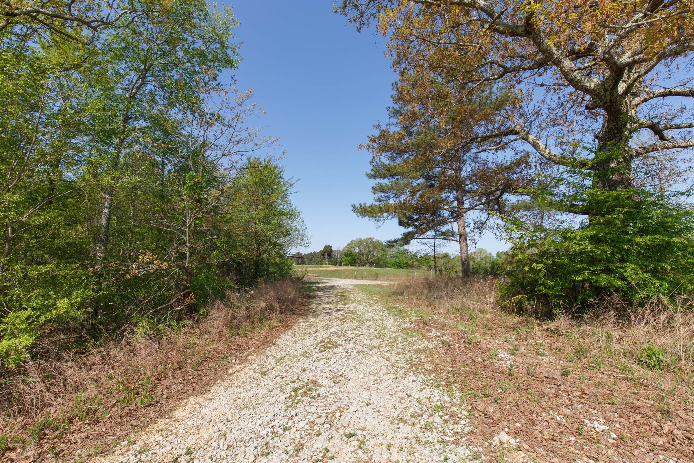 Twin Rivers Tract 3 photo 22
