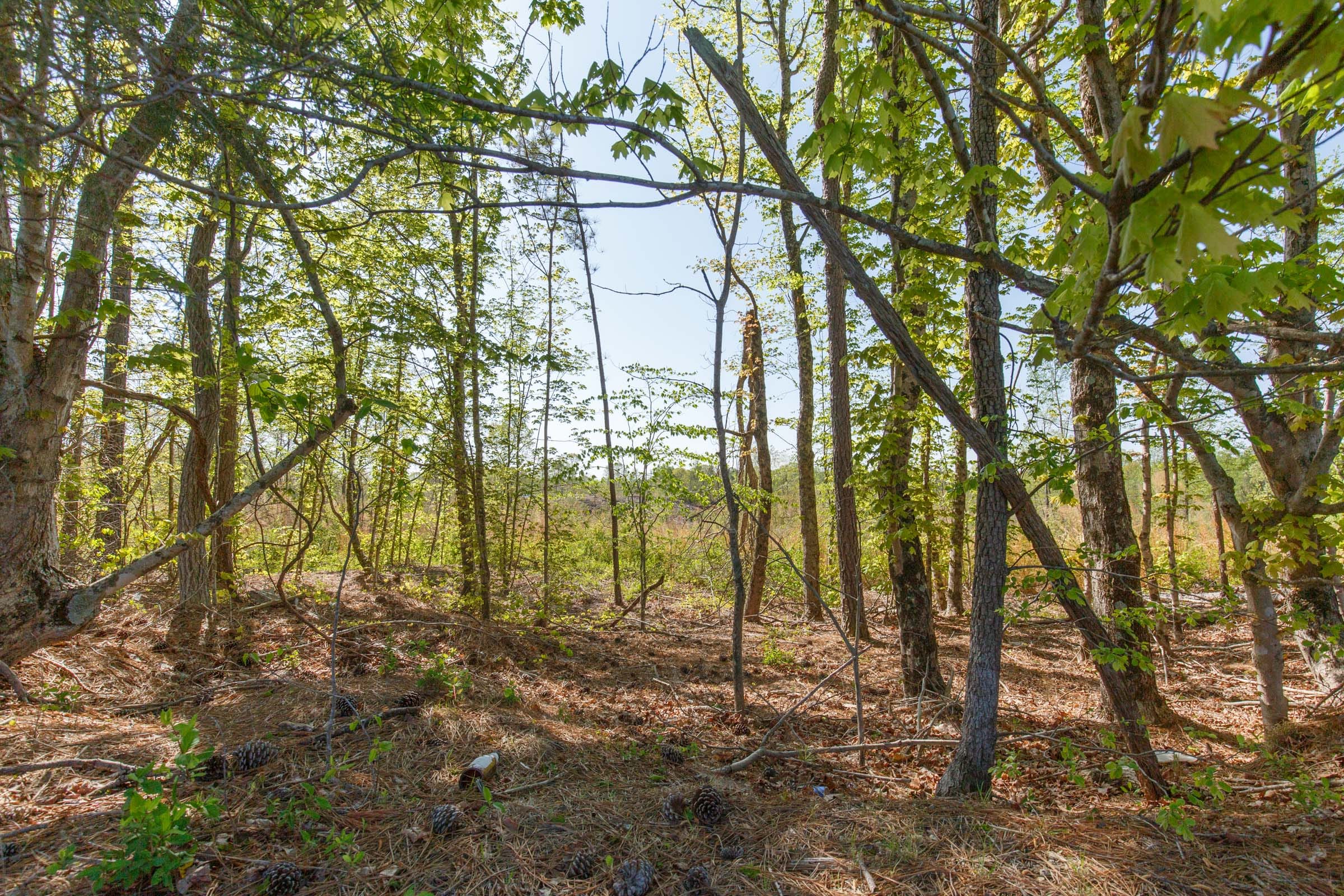 Twin Rivers Tract 3 photo 25