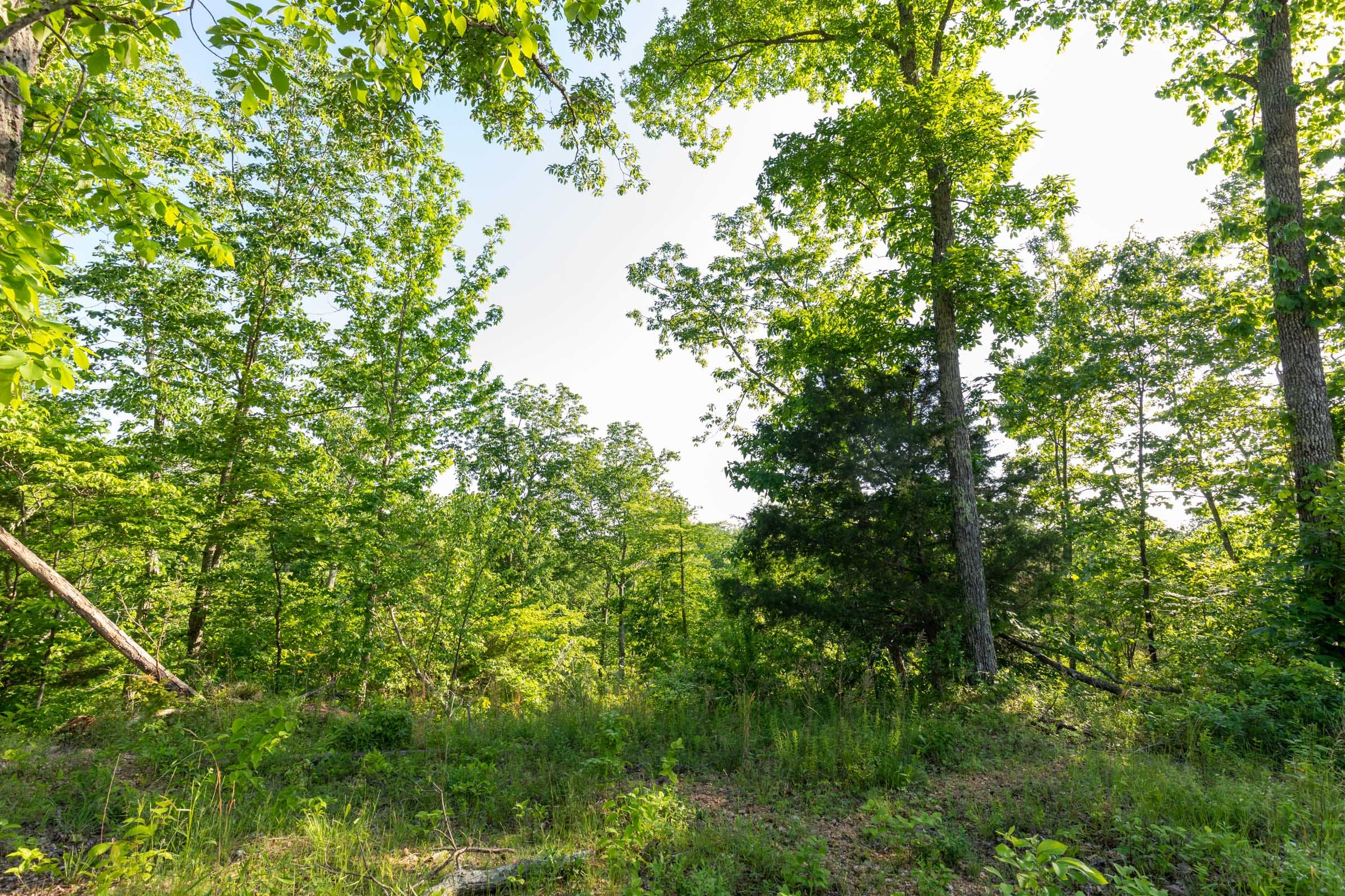 Cedar Creek Tract 55 photo 2