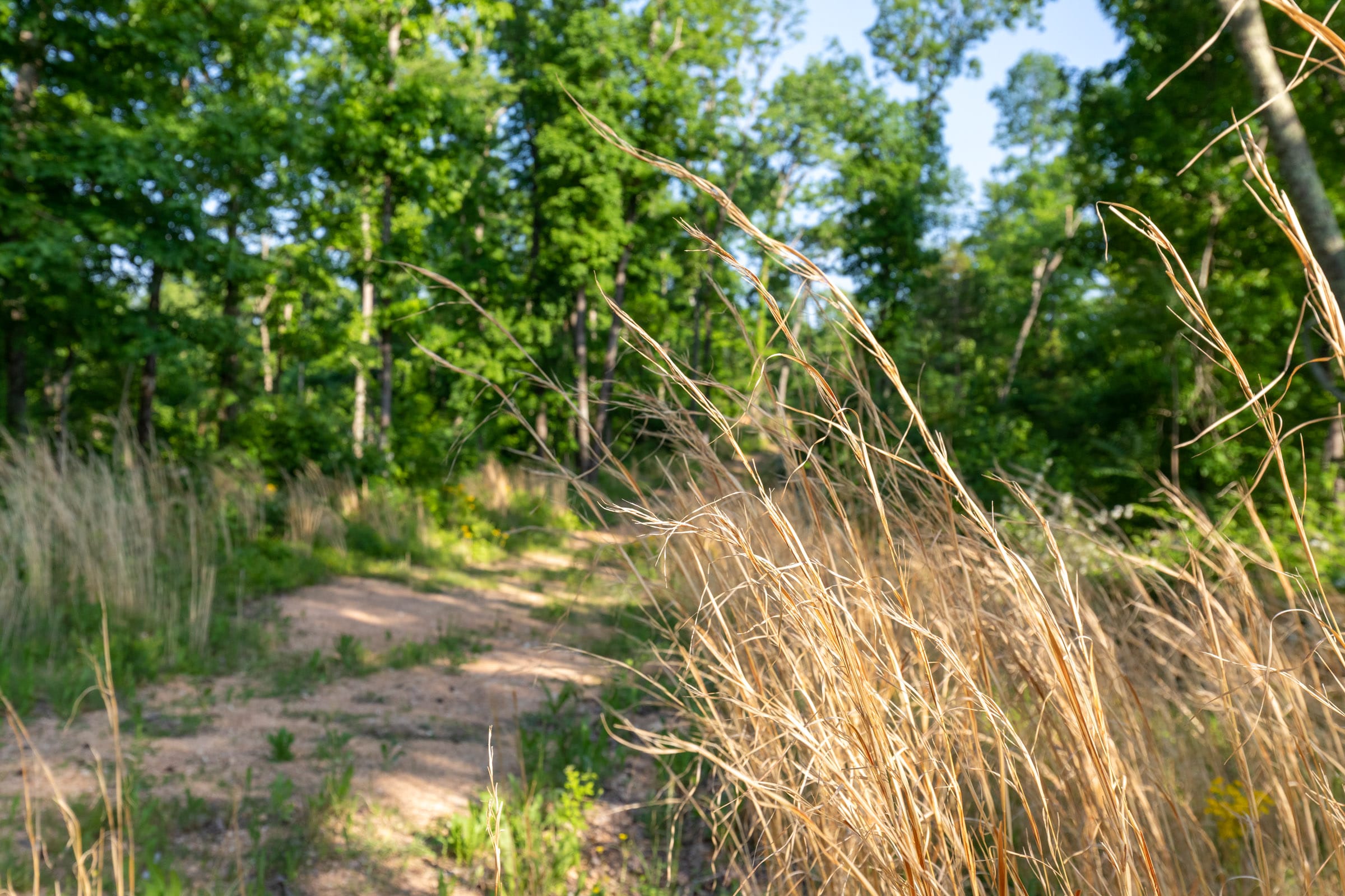 Cedar Creek Tract 55 photo 6