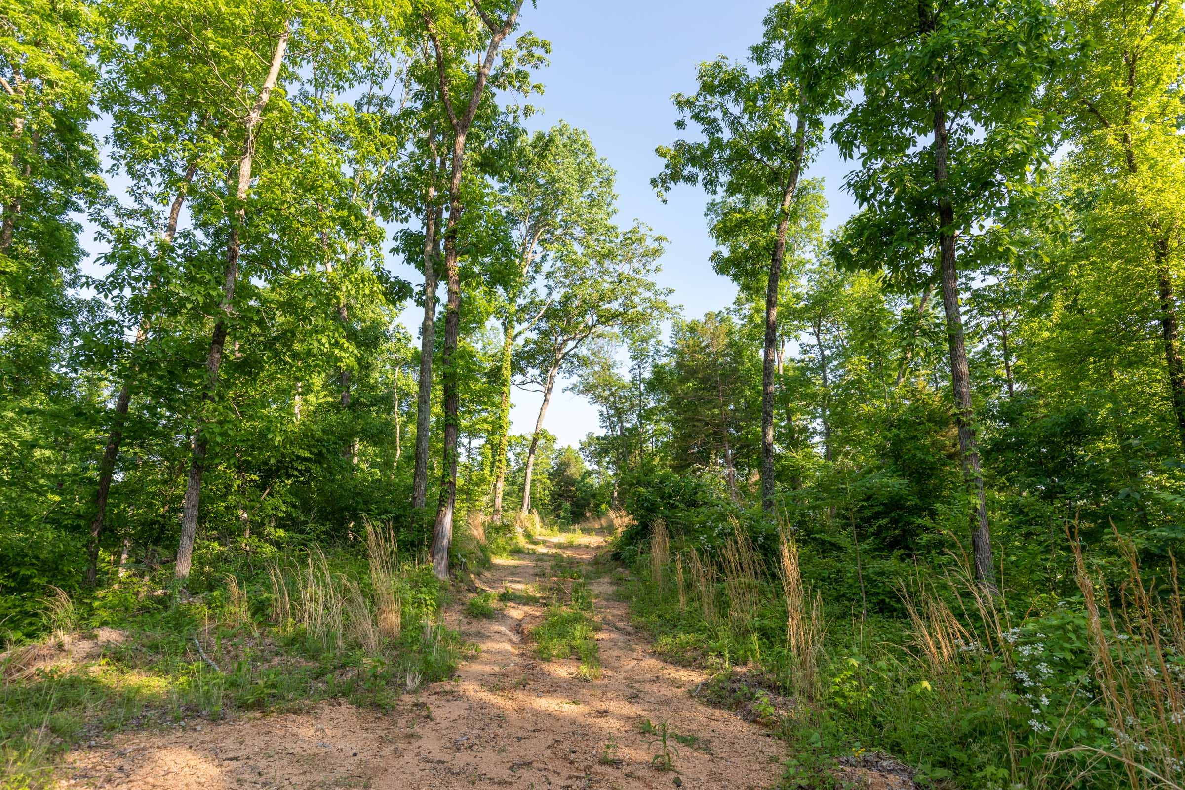Cedar Creek Tract 55 photo 1