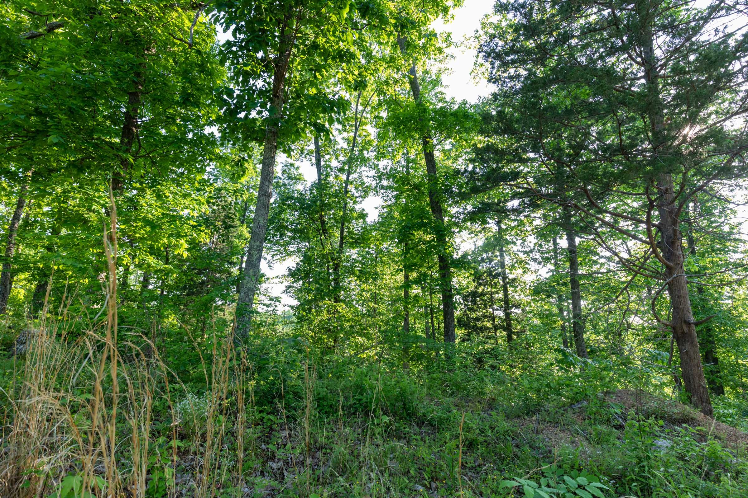 Cedar Creek Tract 55 photo 7