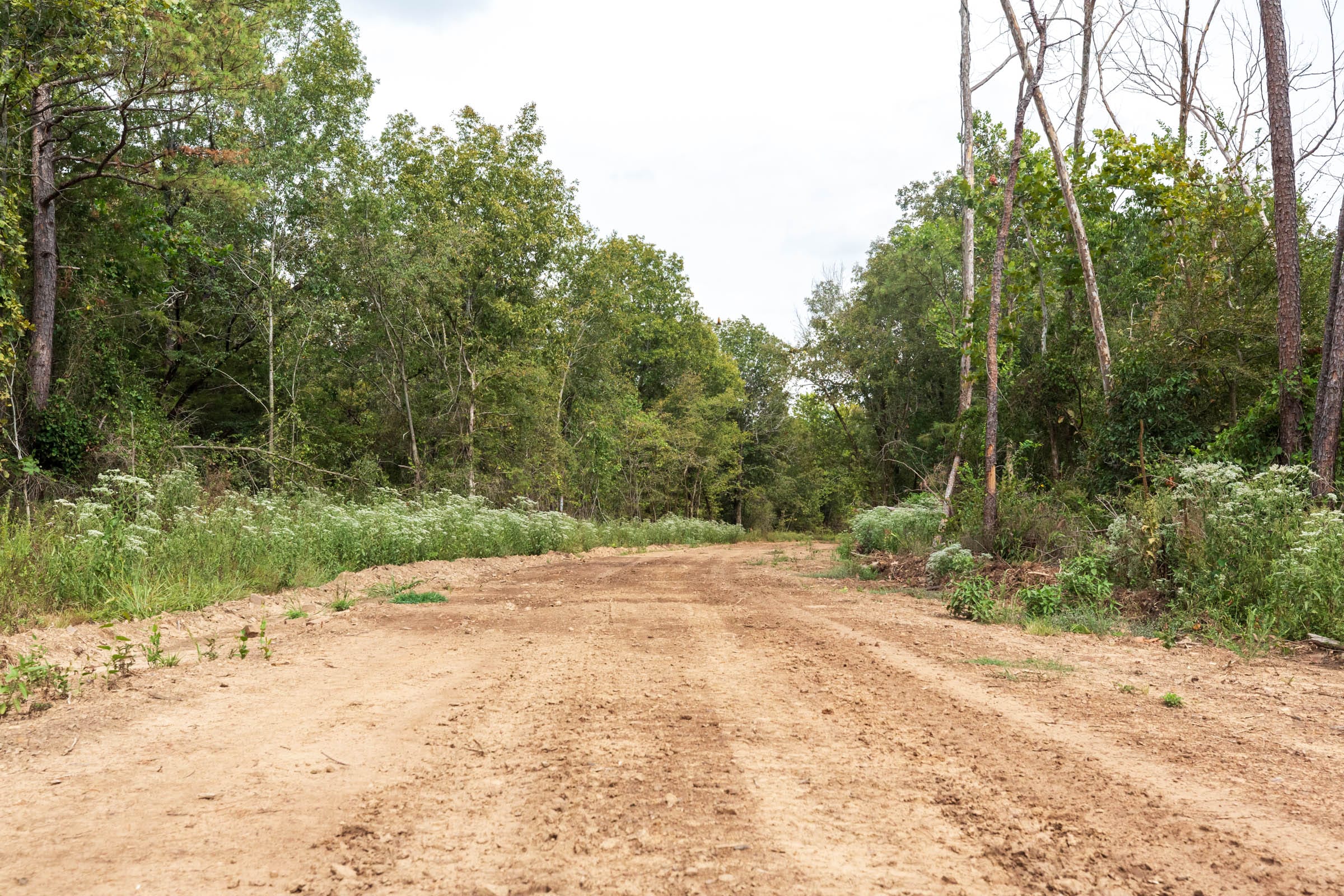 Stone Bridge Phase V Tract 411 photo 12