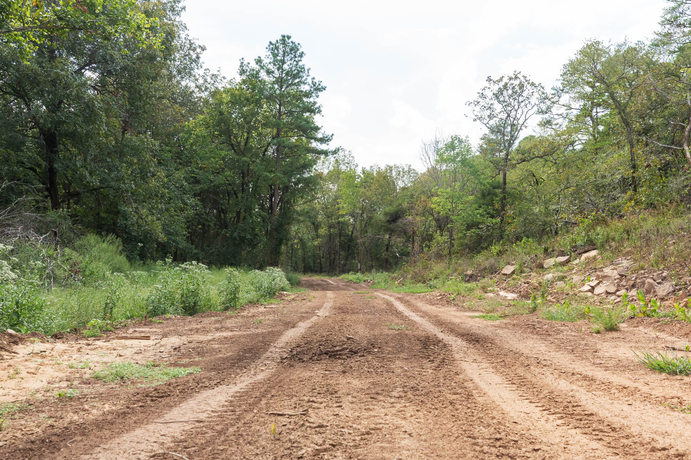Stone Bridge Phase V Tract 411 photo 1