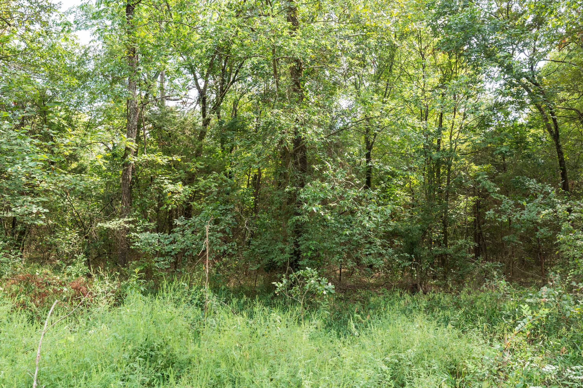 Stone Bridge Phase V Tract 411 photo 13