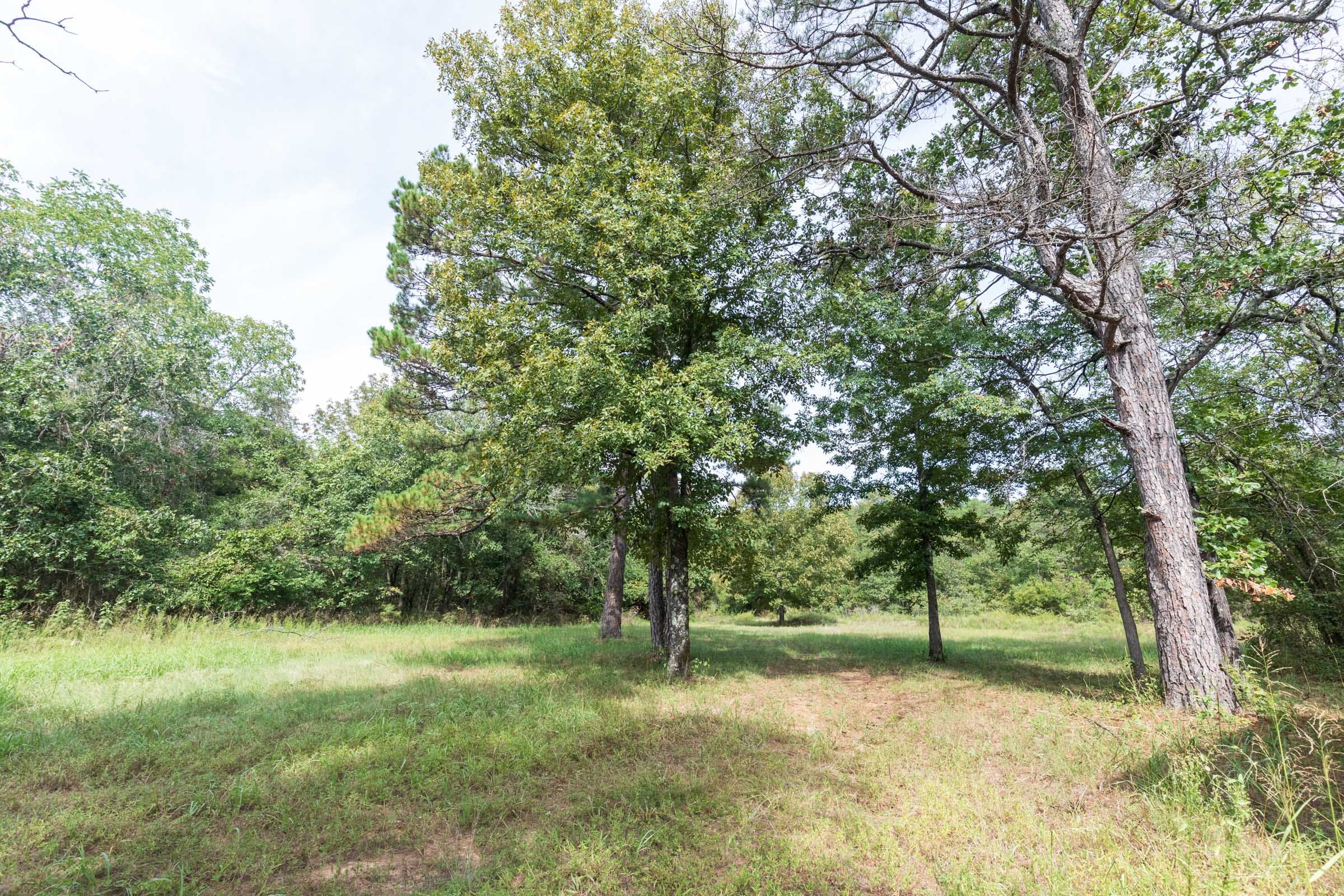 Stone Bridge Phase V Tract 411 photo 21