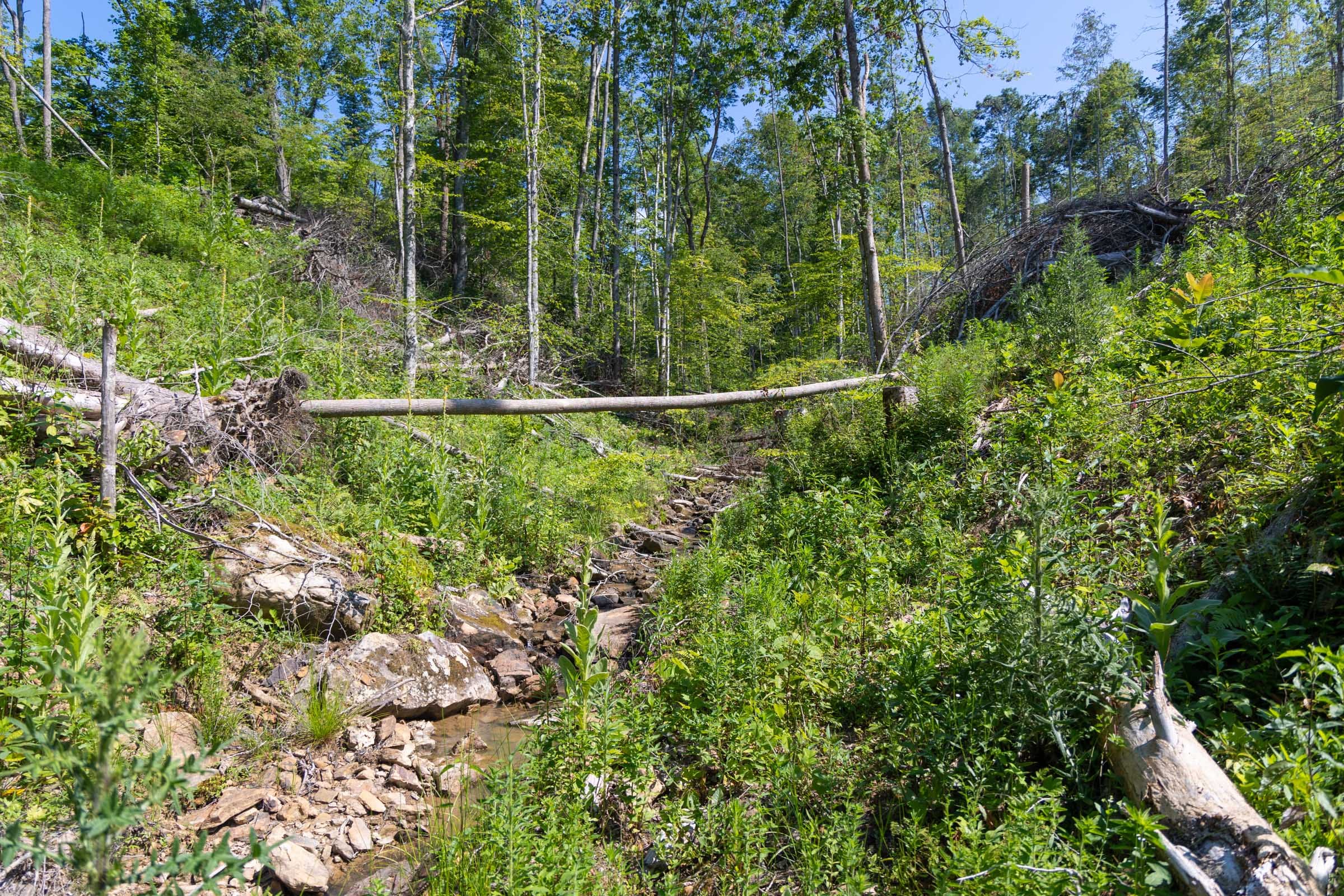 Creek Hollow Phase II Tract 74 photo 23