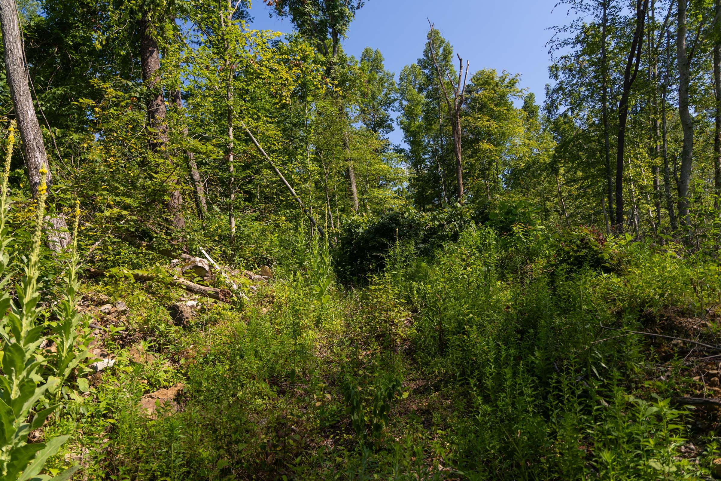 Creek Hollow Phase II Tract 74 photo 22