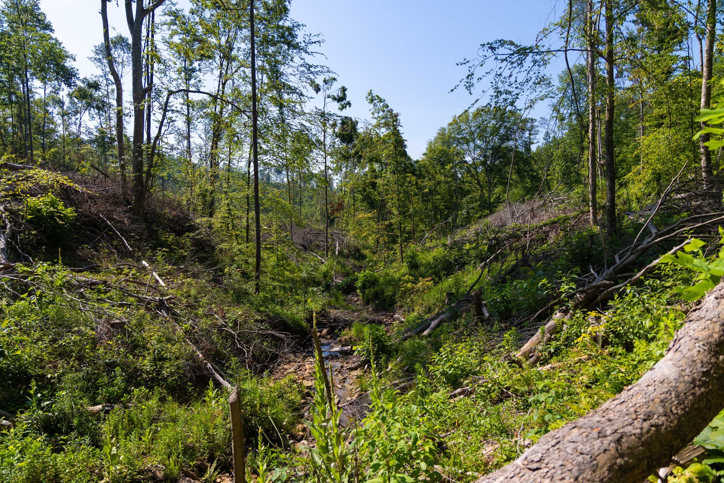 Creek Hollow Phase II Tract 74 photo 21