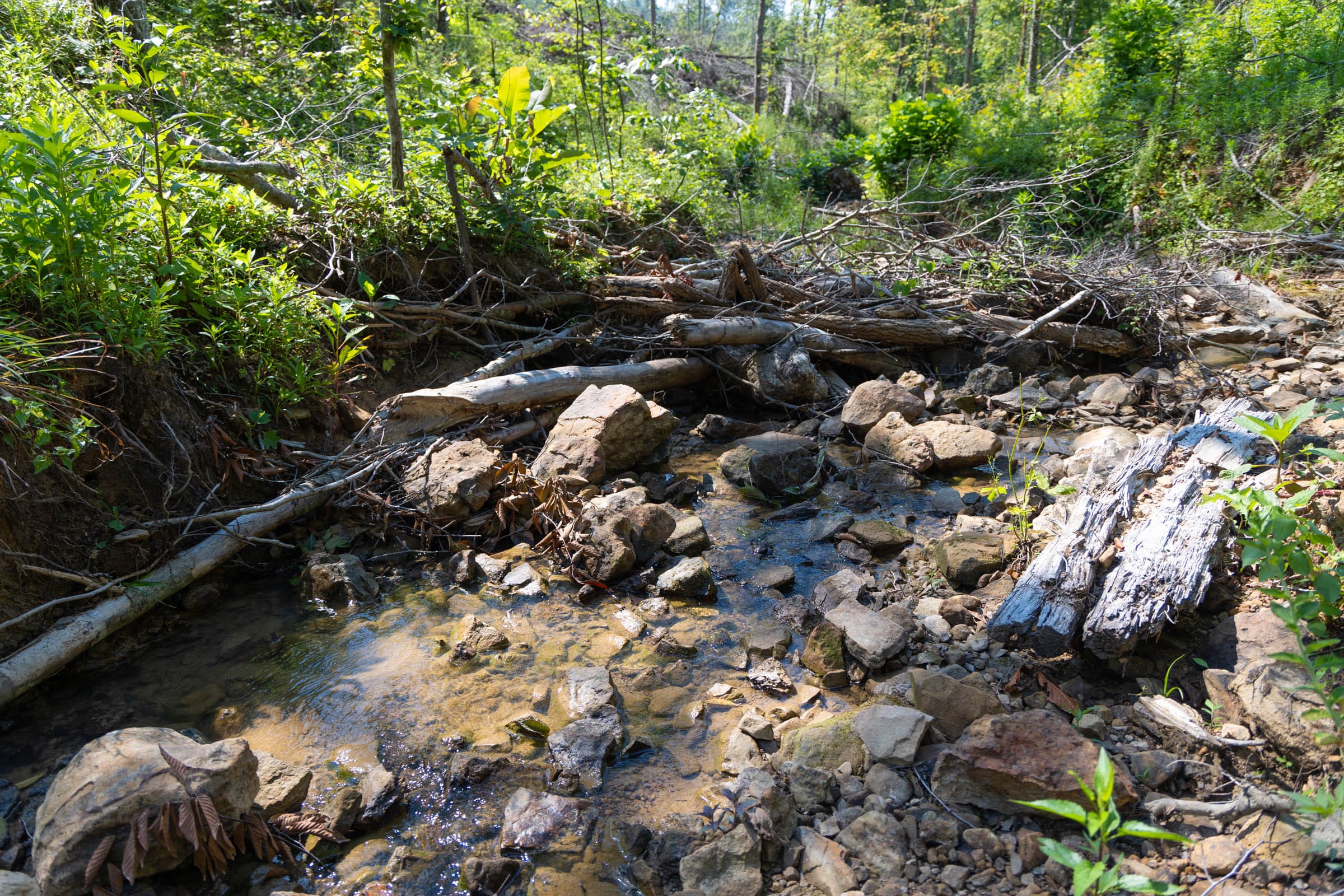 Creek Hollow Phase II Tract 74 photo 20