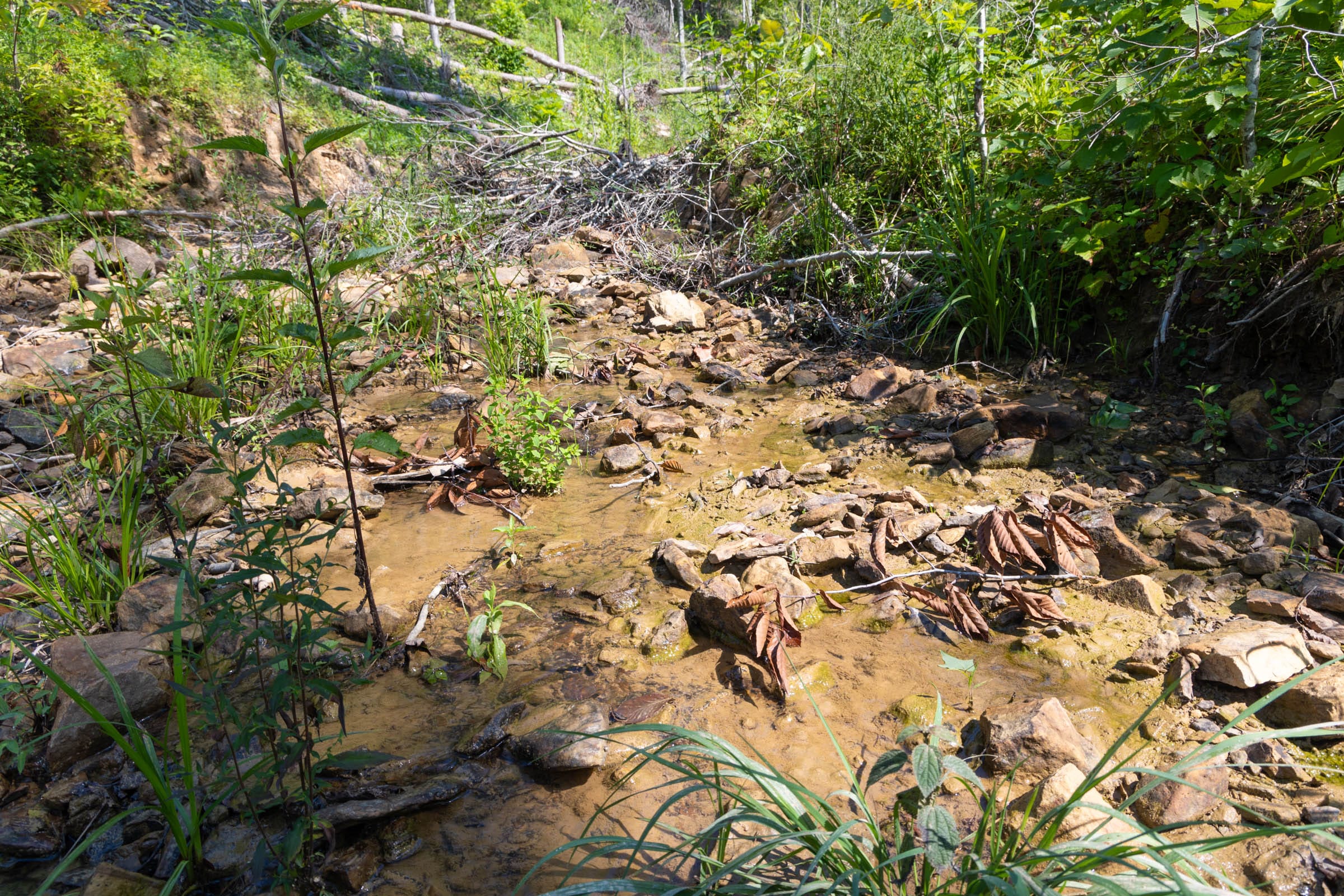 Creek Hollow Phase II Tract 74 photo 19