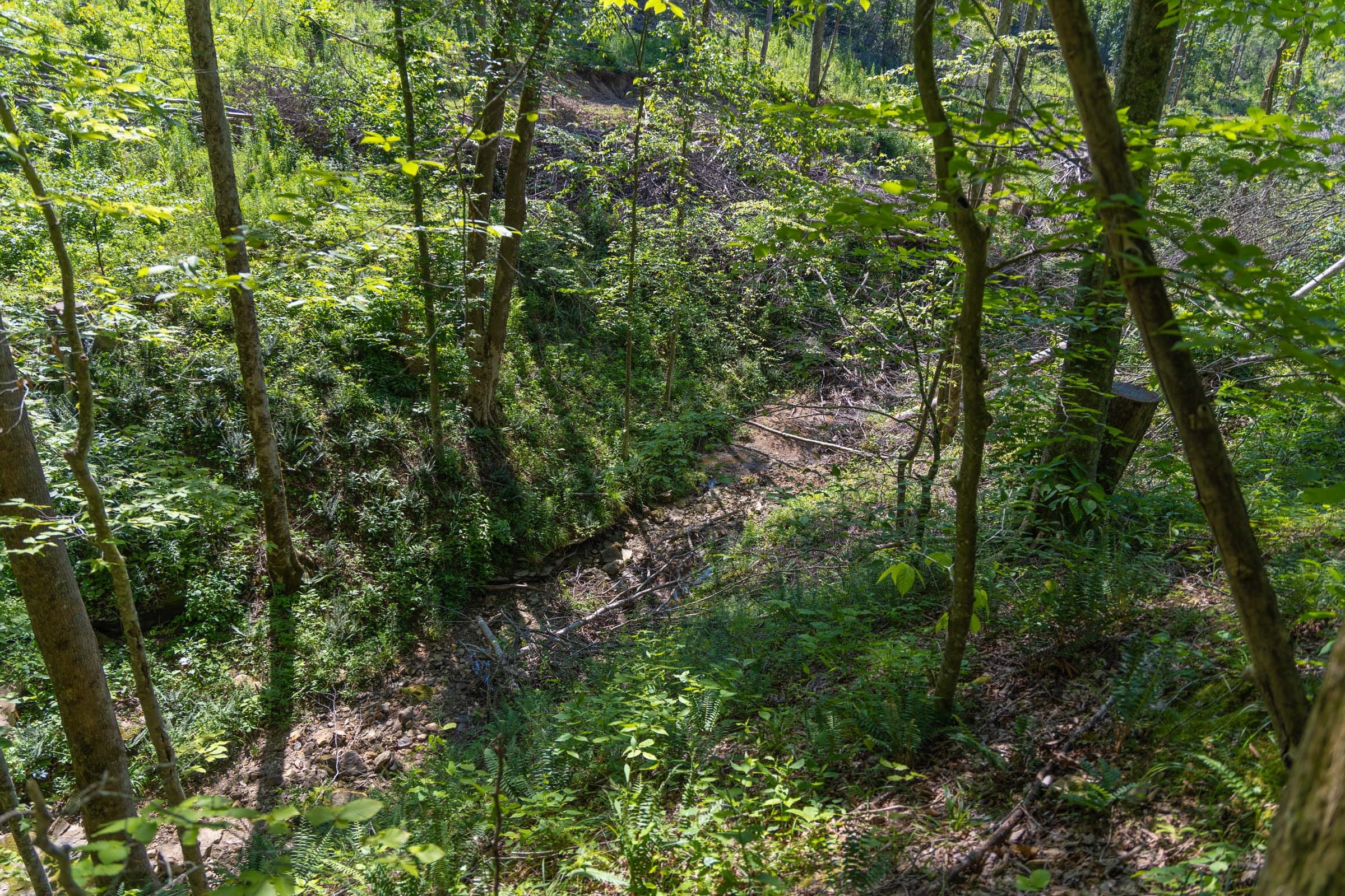 Creek Hollow Phase II Tract 74 photo 16
