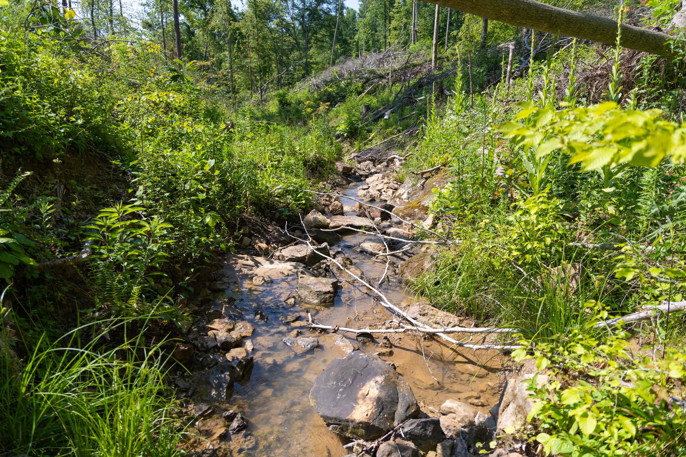 Creek Hollow Phase II Tract 74 photo 15
