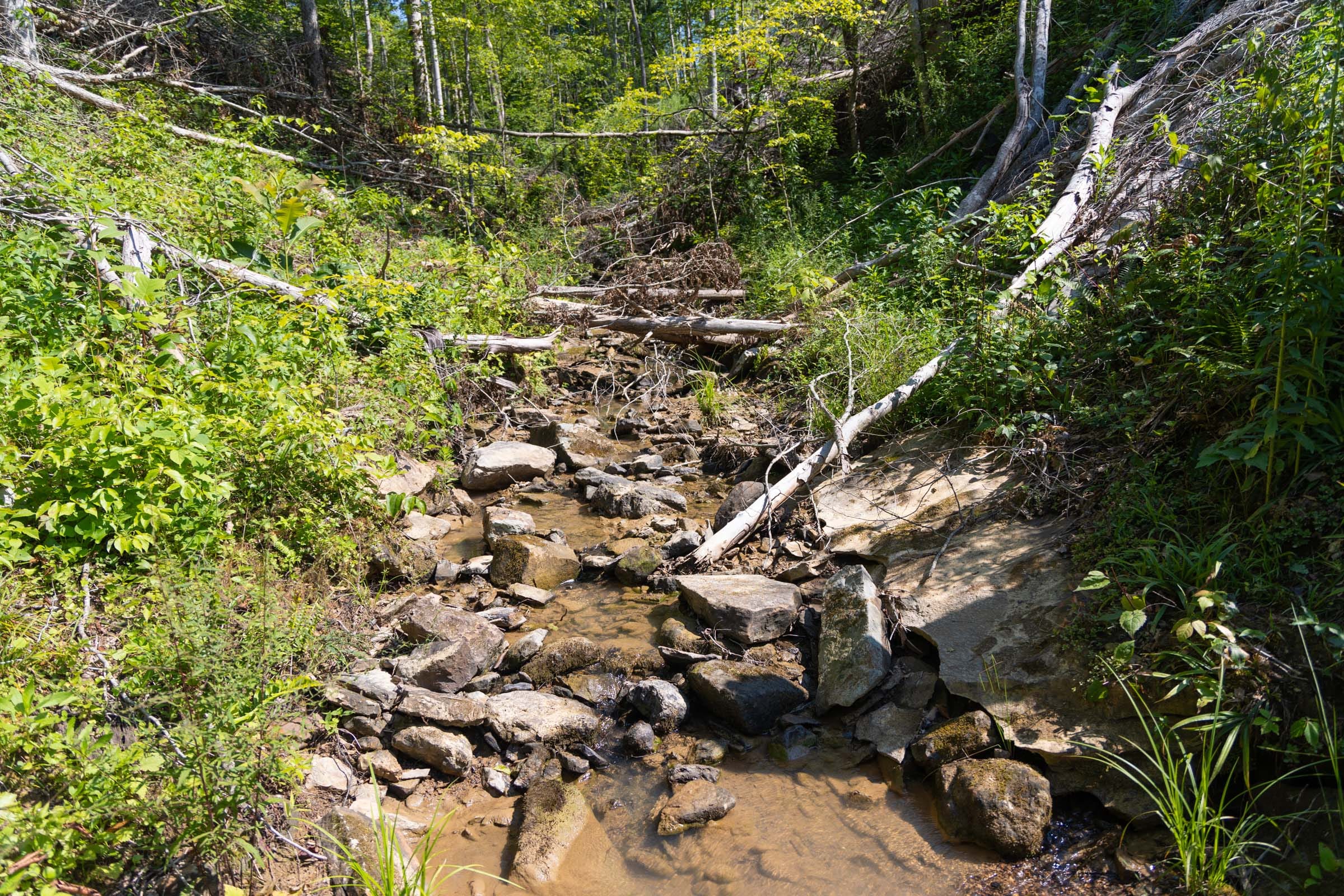 Creek Hollow Phase II Tract 74 photo 14