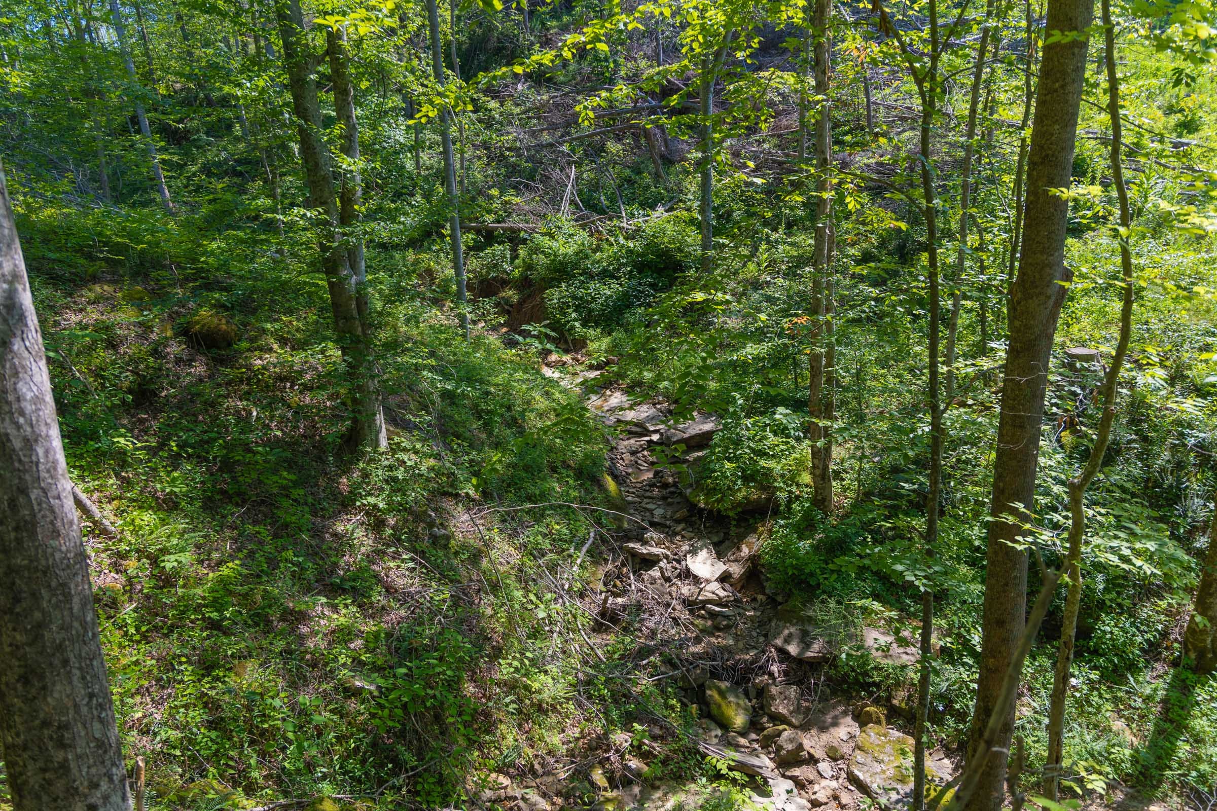 Creek Hollow Phase II Tract 74 photo 13