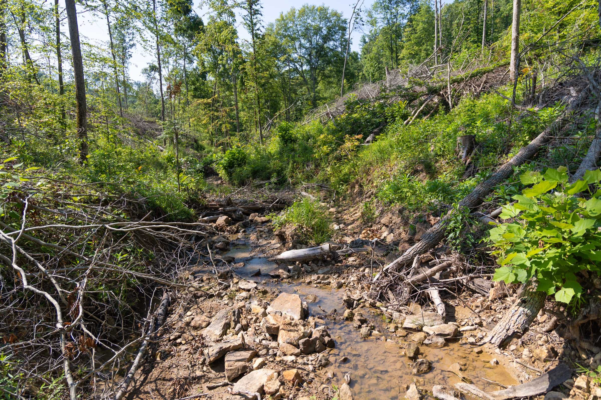 Creek Hollow Phase II Tract 74 photo 11