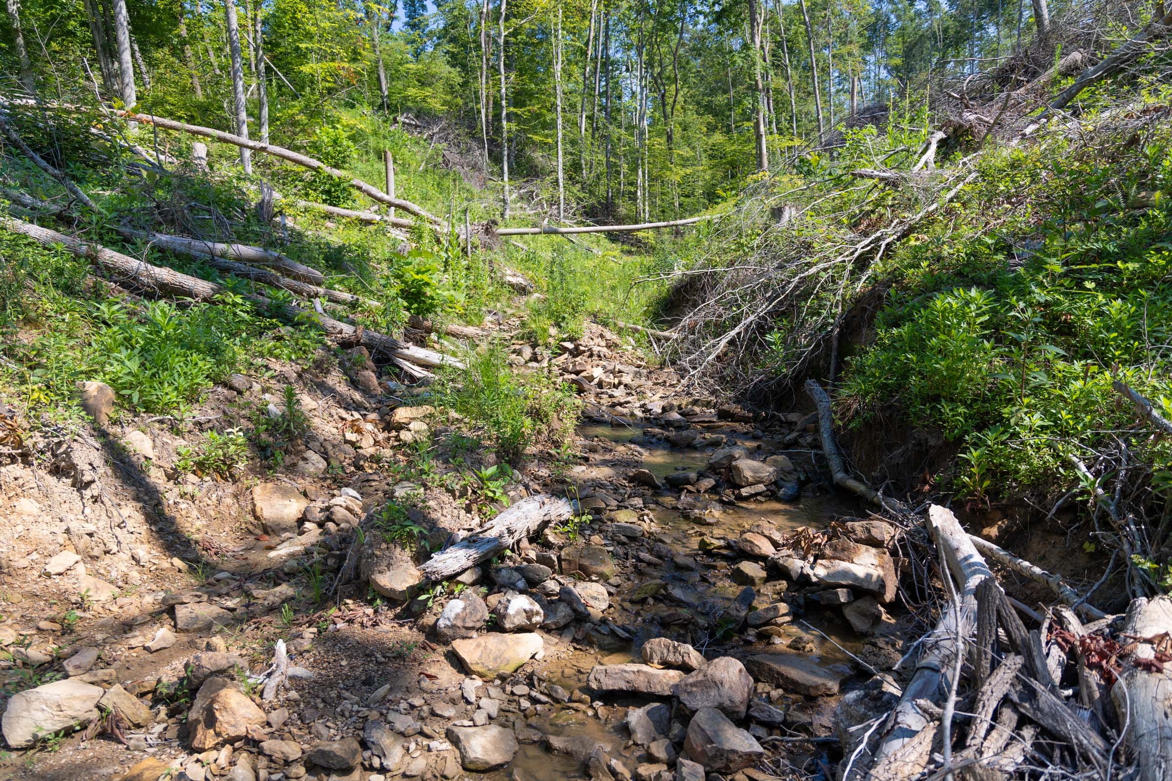 Creek Hollow Phase II Tract 74 photo 9