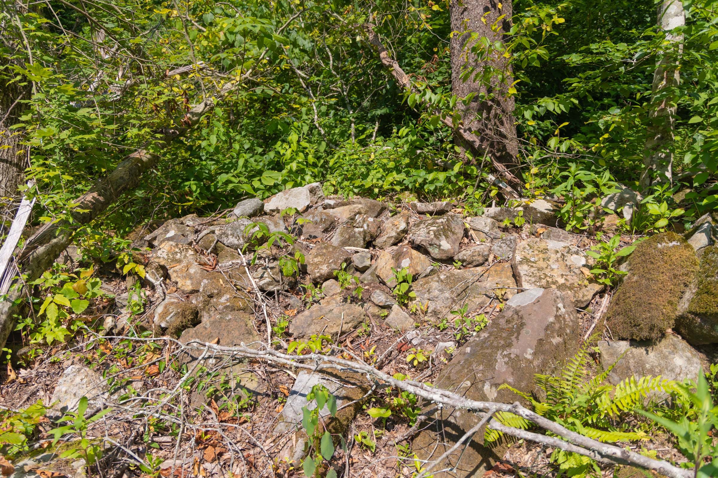 Creek Hollow Phase II Tract 74 photo 8