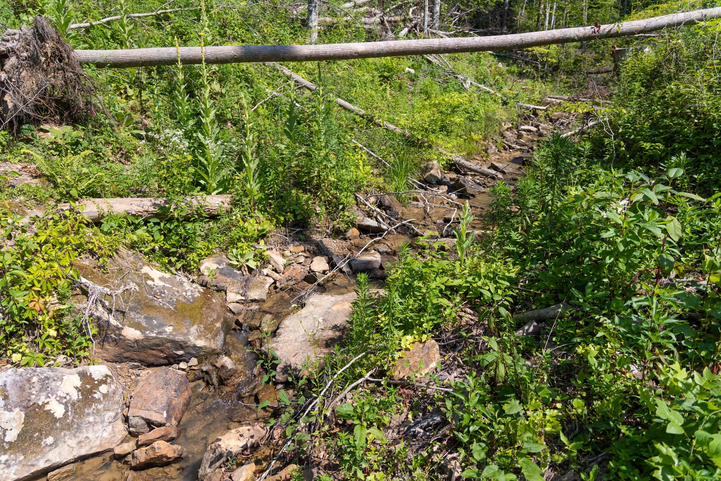 Creek Hollow Phase II Tract 74 photo 7
